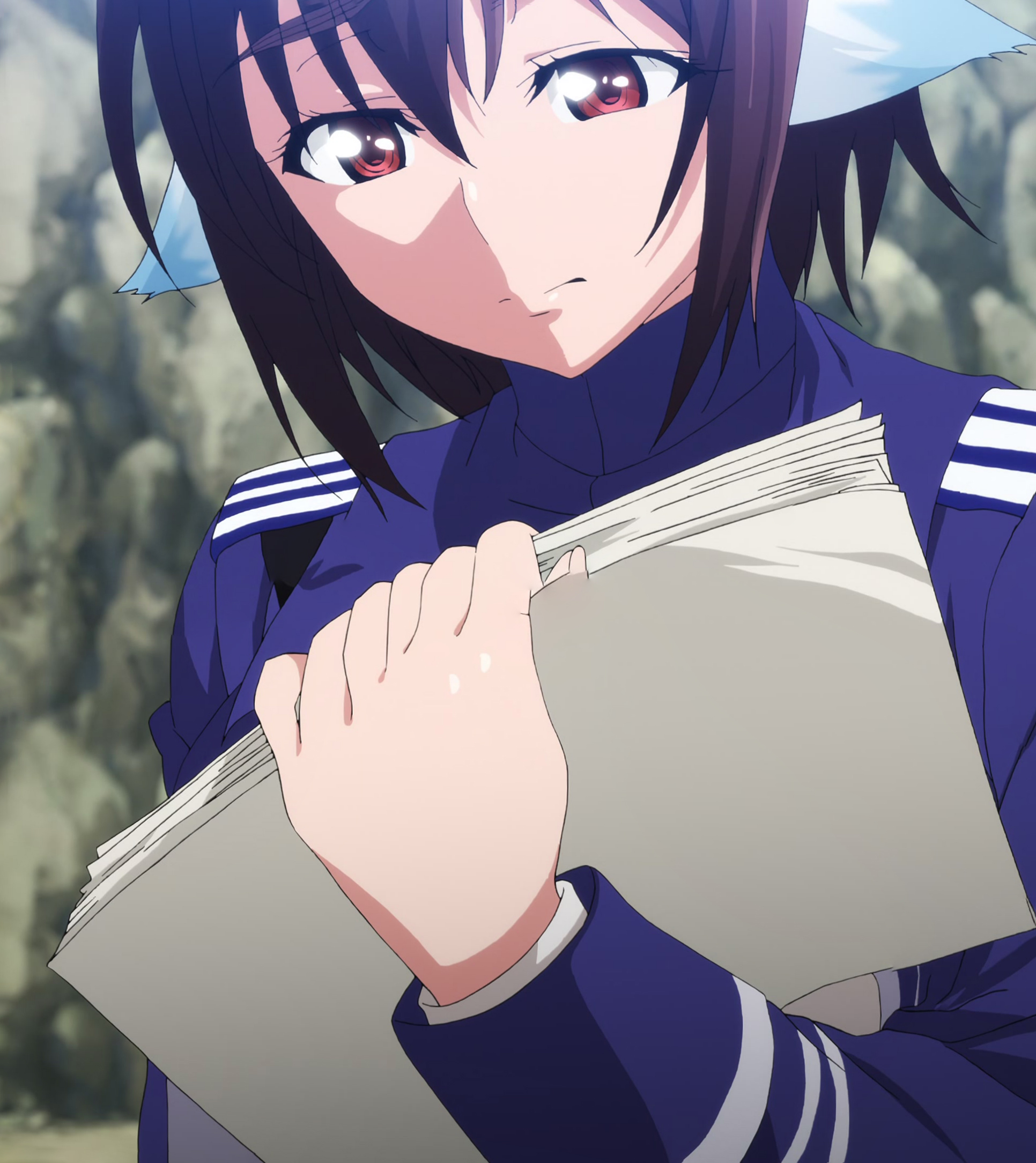 Plunderer 135a.jpg