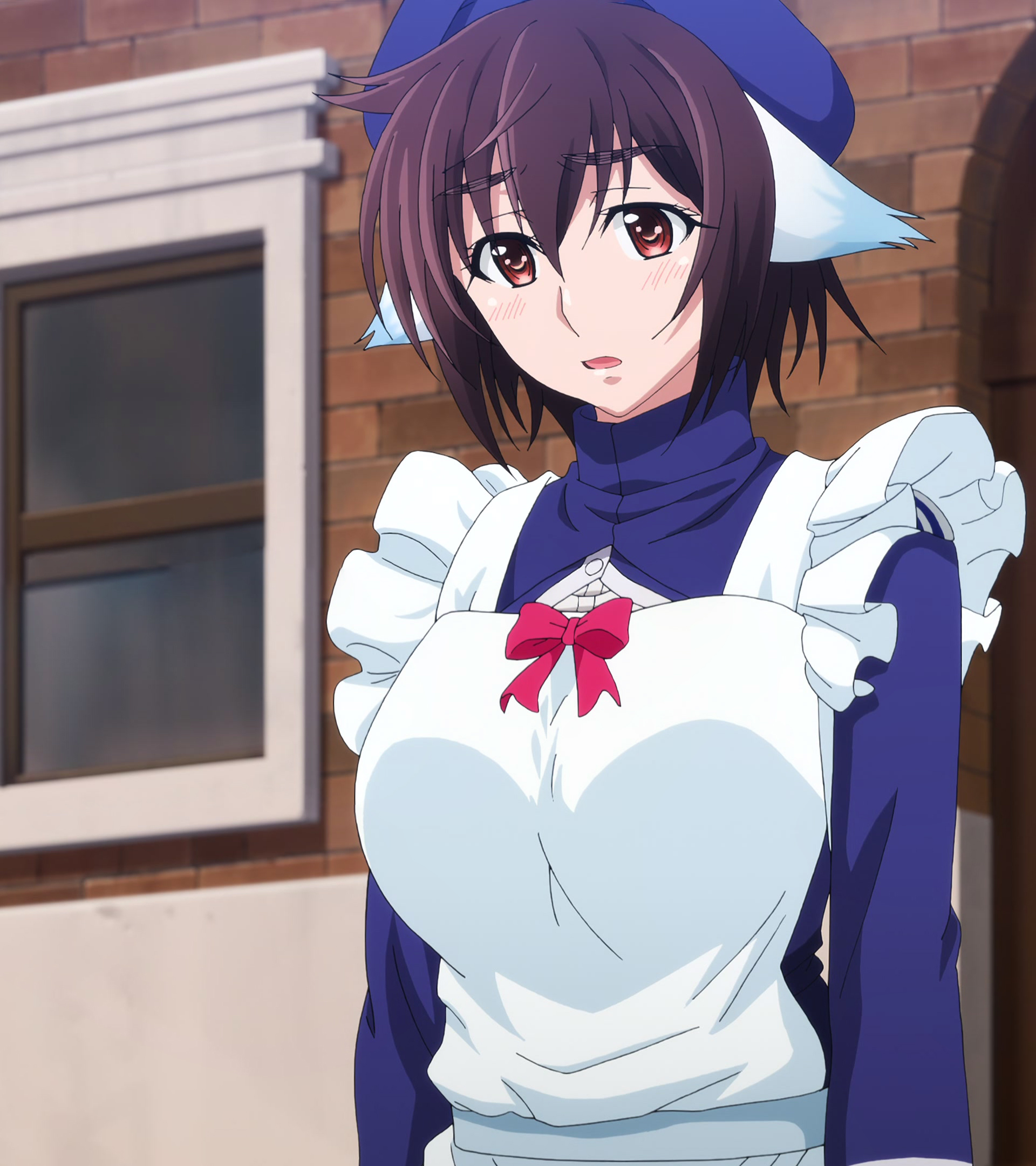 Plunderer 206a.jpg
