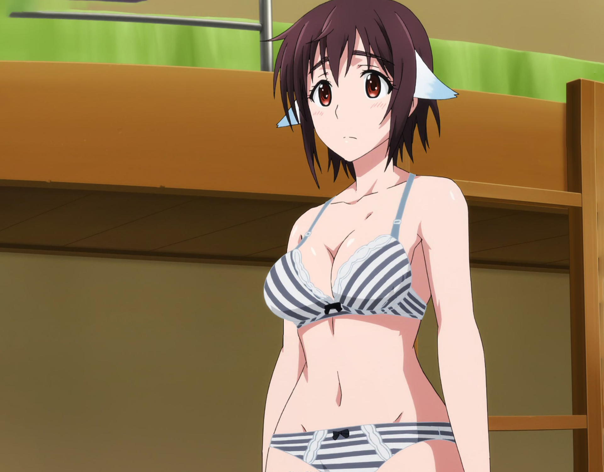Plunderer 400a.jpg