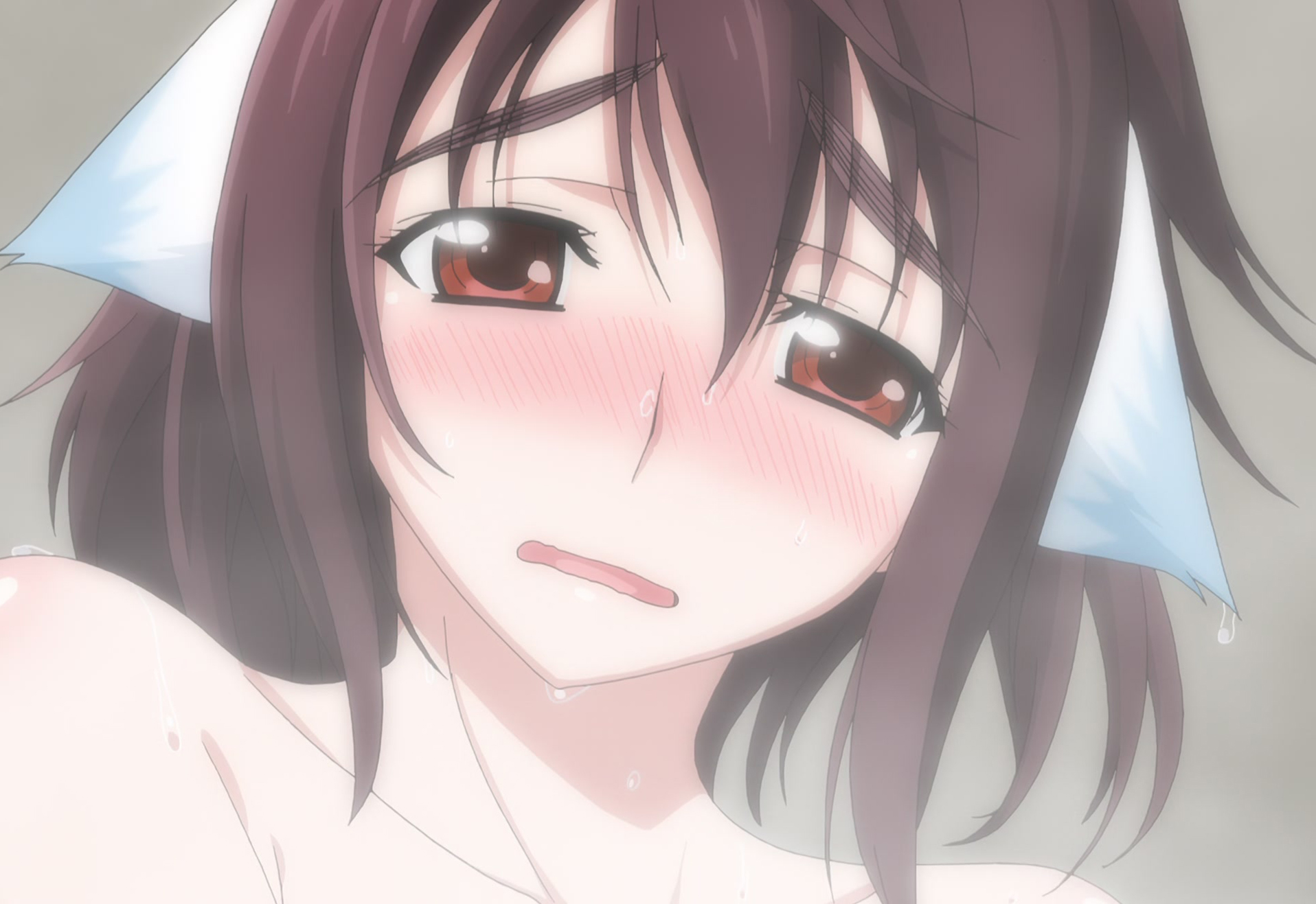 Plunderer 441.jpg