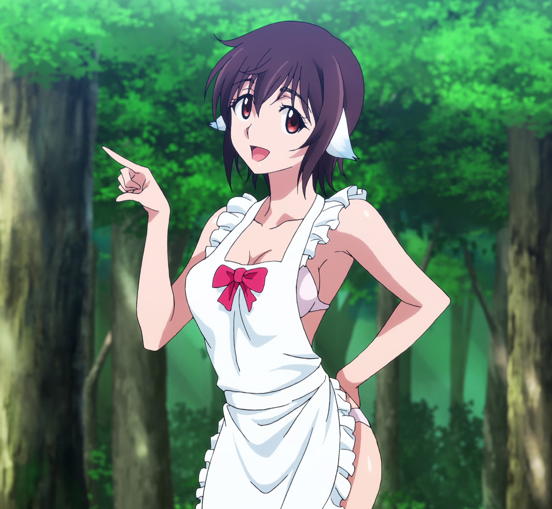 Plunderer 693b.jpg