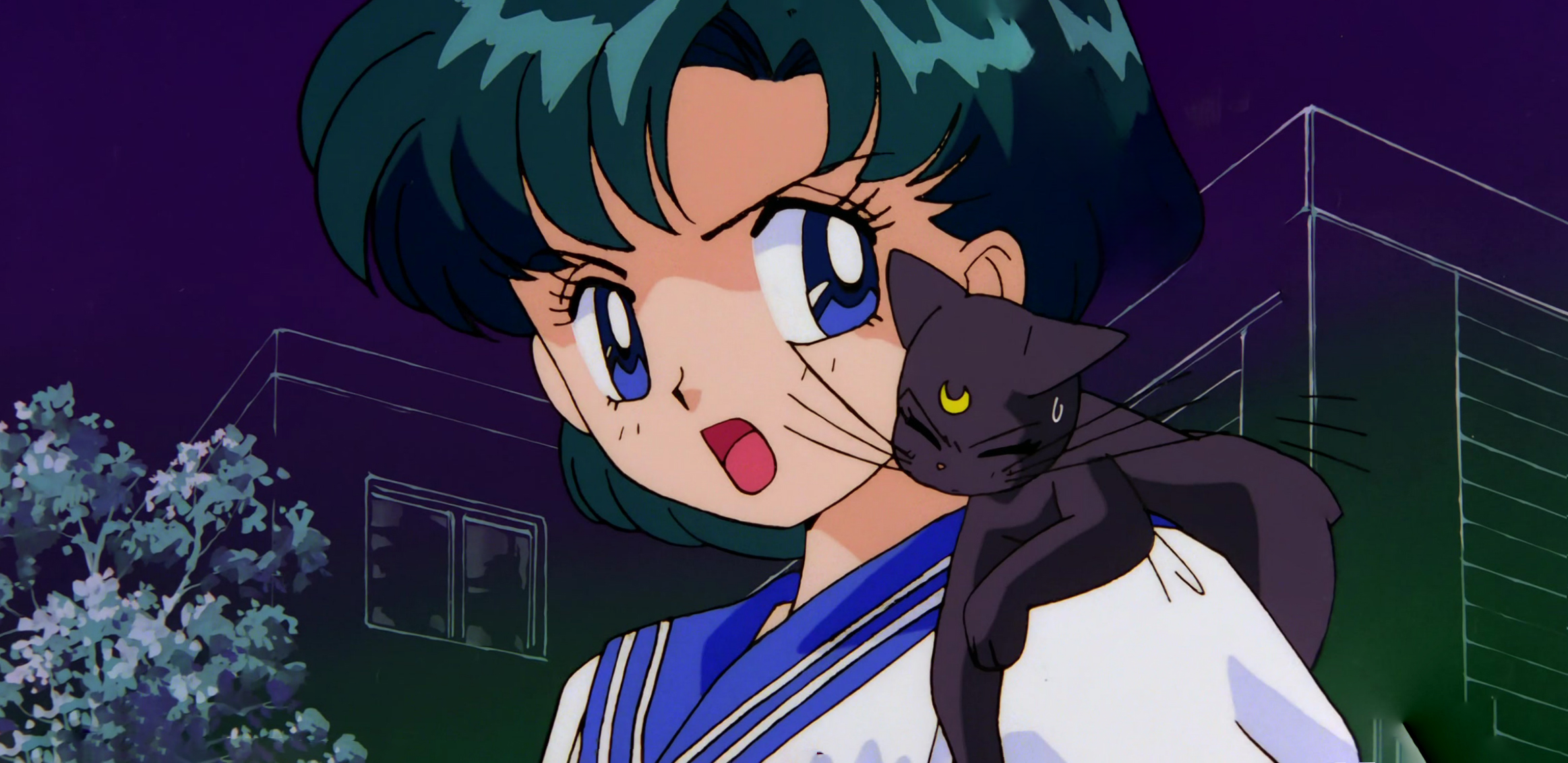 Sailor Moon R Movie Stitch 028.jpg