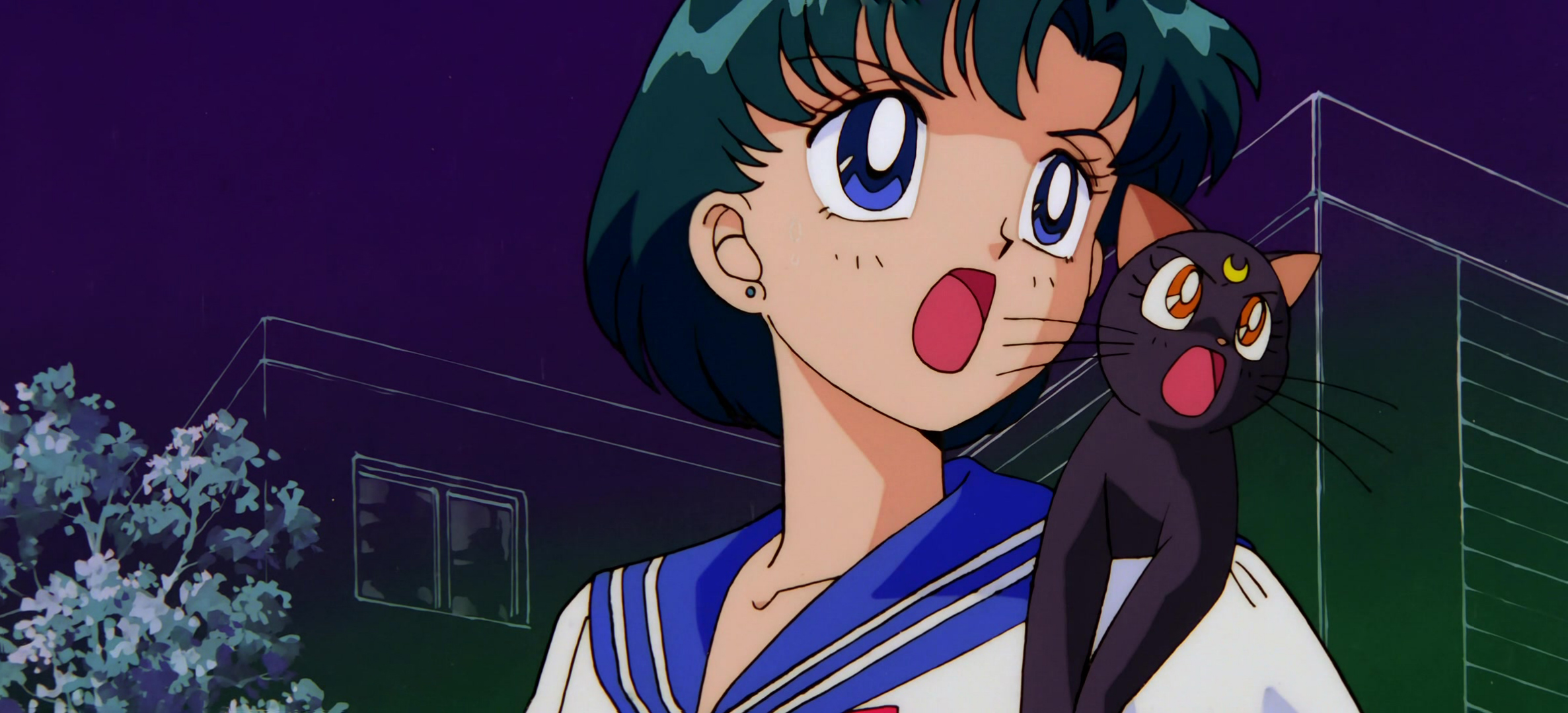 Sailor Moon R Movie Stitch 029.jpg