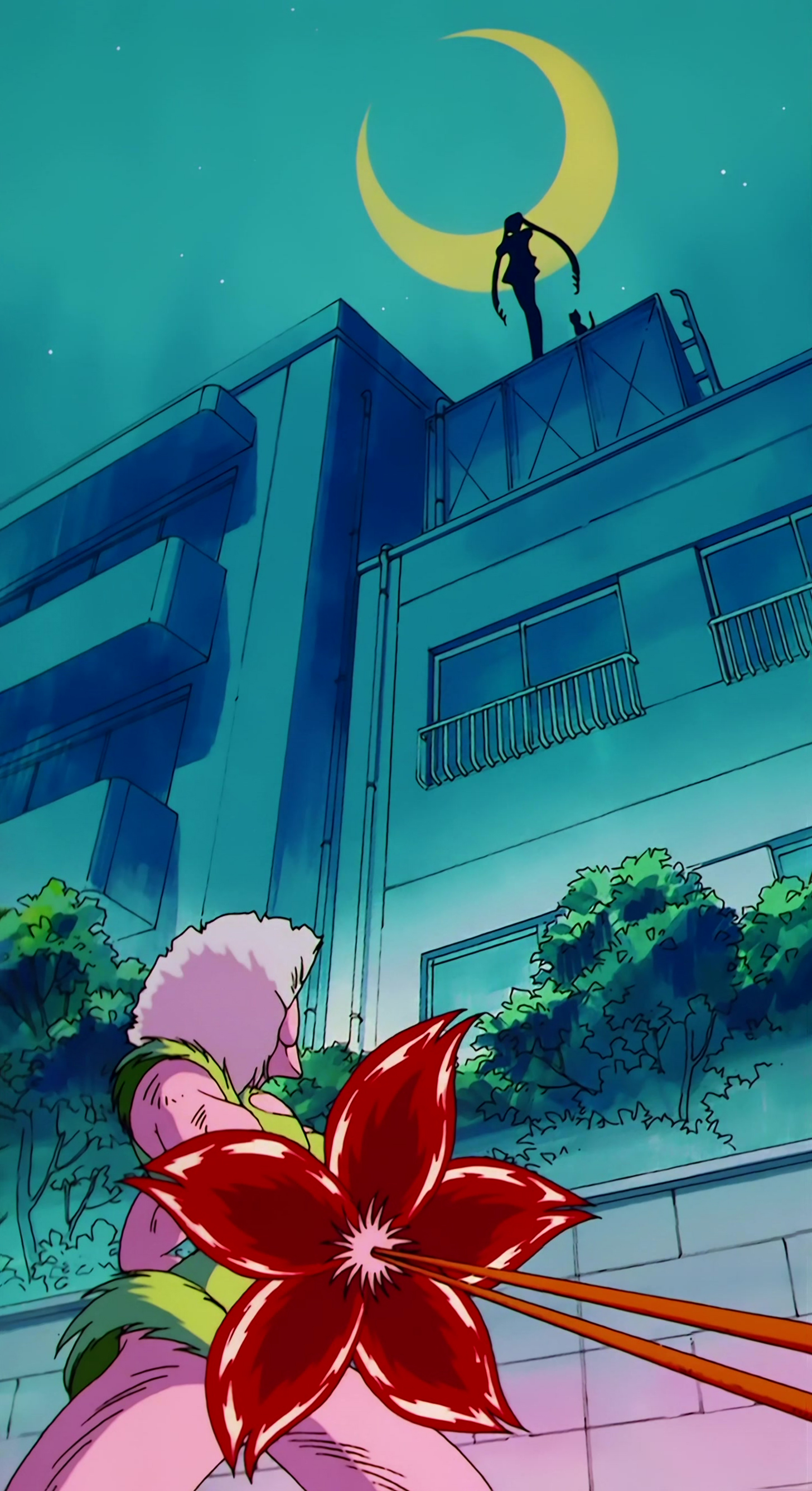 Sailor Moon R  Stitch 0048.jpg