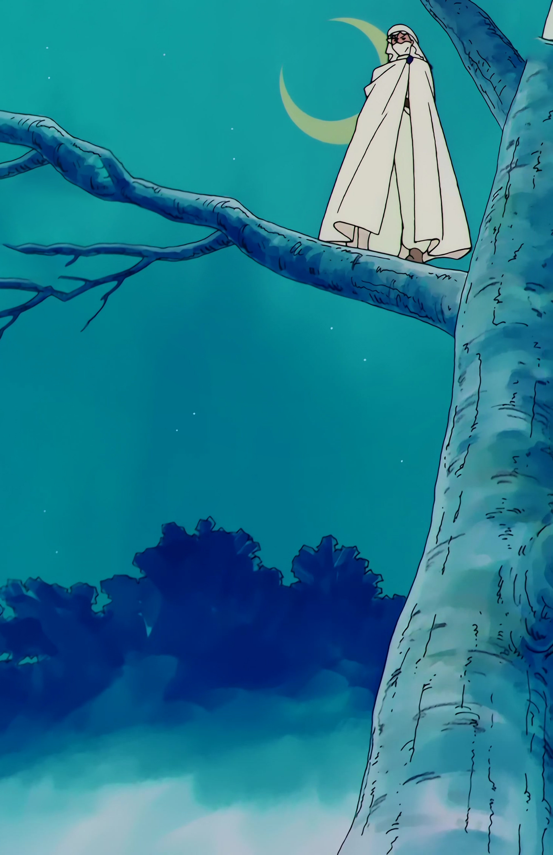Sailor Moon R  Stitch 0112.jpg