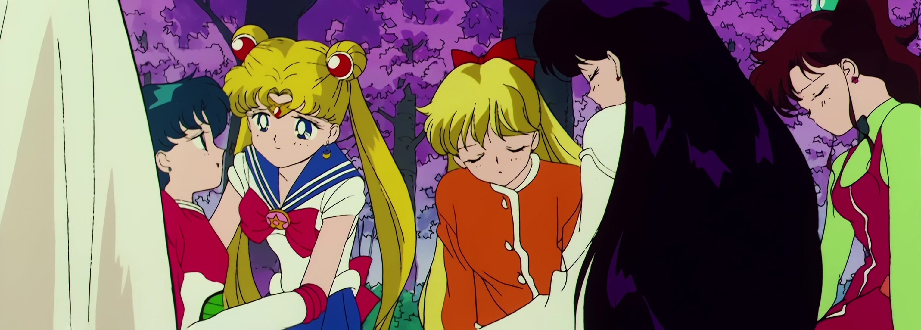 Sailor Moon R  Stitch 0206.jpg