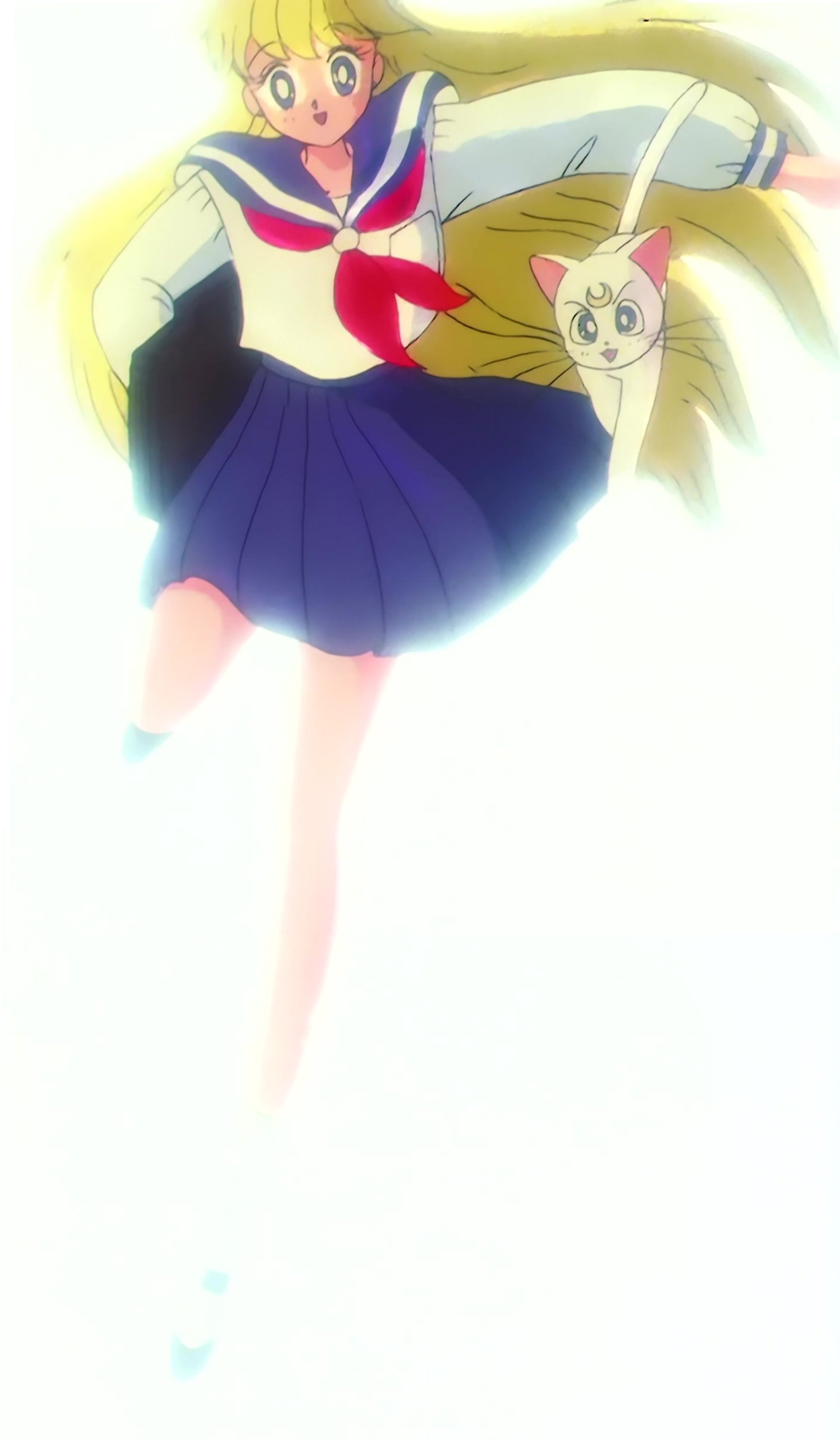 Sailor Moon R  Stitch 0209.jpg