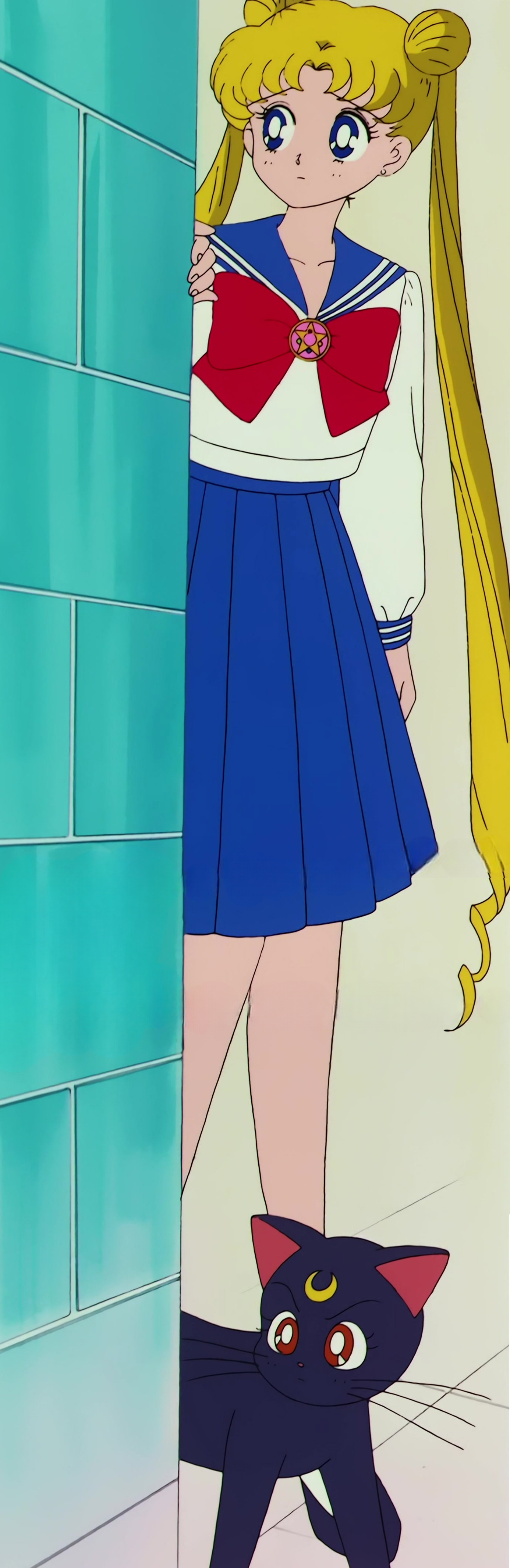 Sailor Moon R  Stitch 0224.jpg
