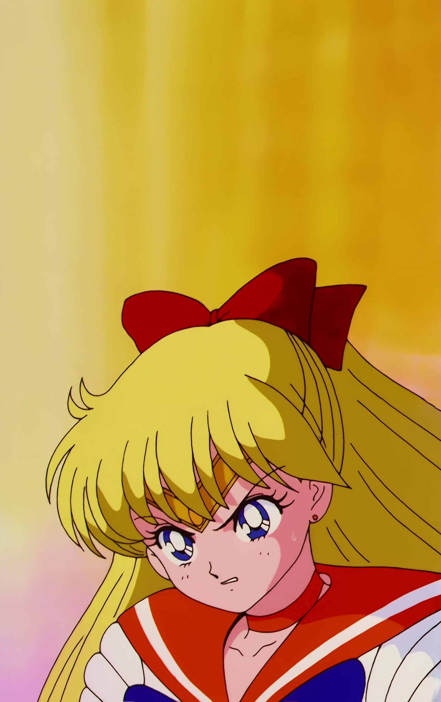 Sailor Moon R  Stitch 0242.jpg
