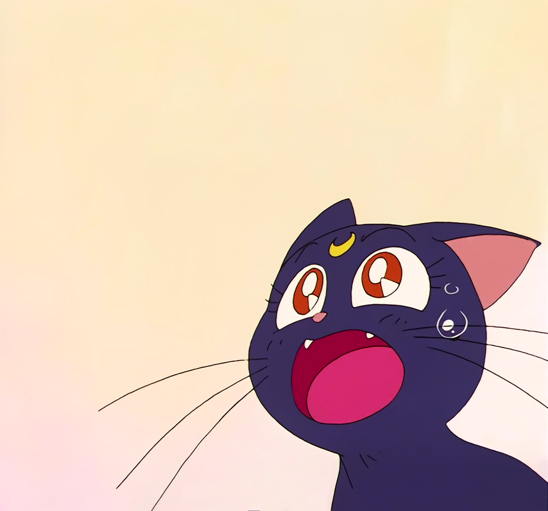 Sailor Moon R  Stitch 0323.jpg