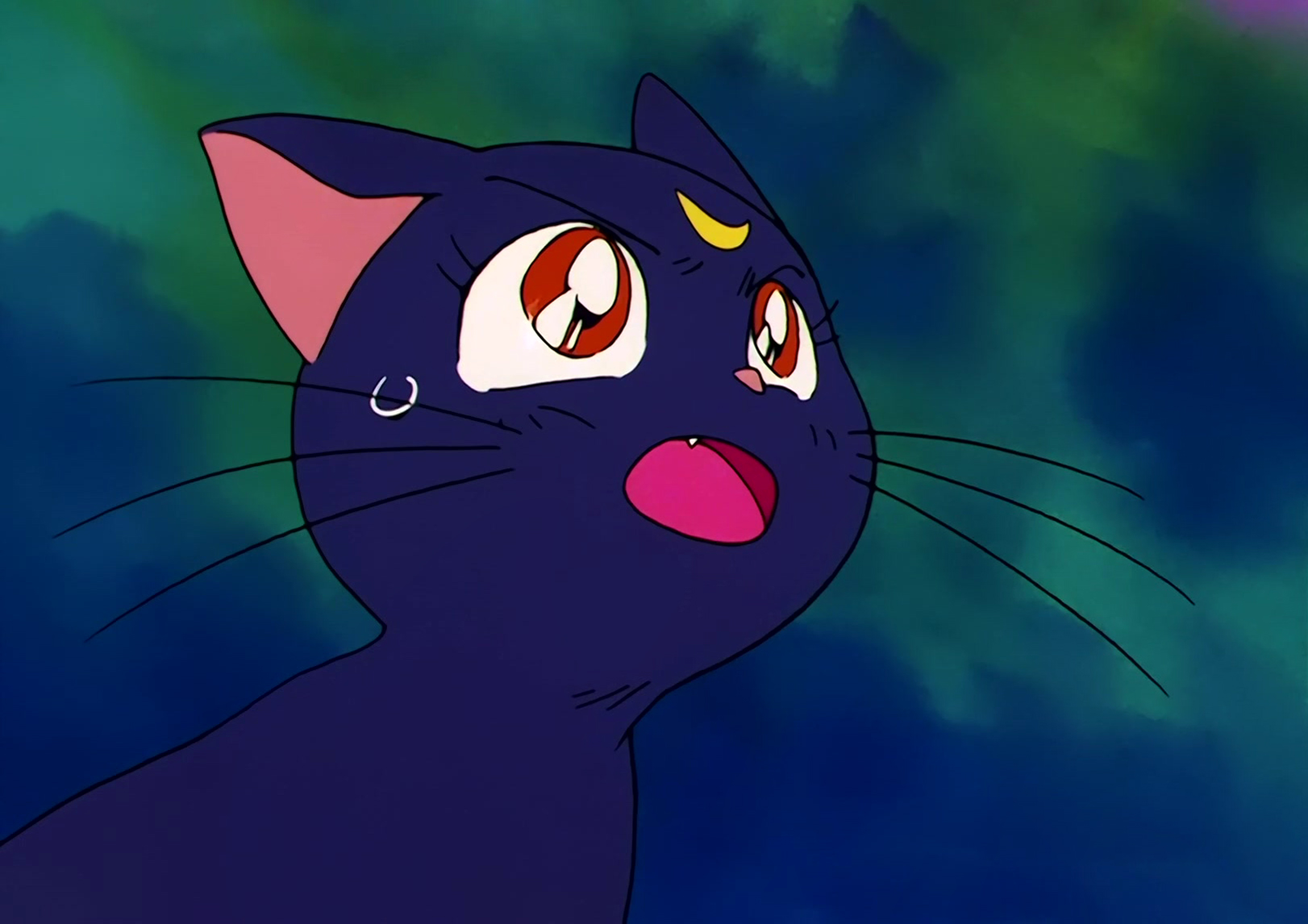 Sailor Moon R  Stitch 0356.jpg