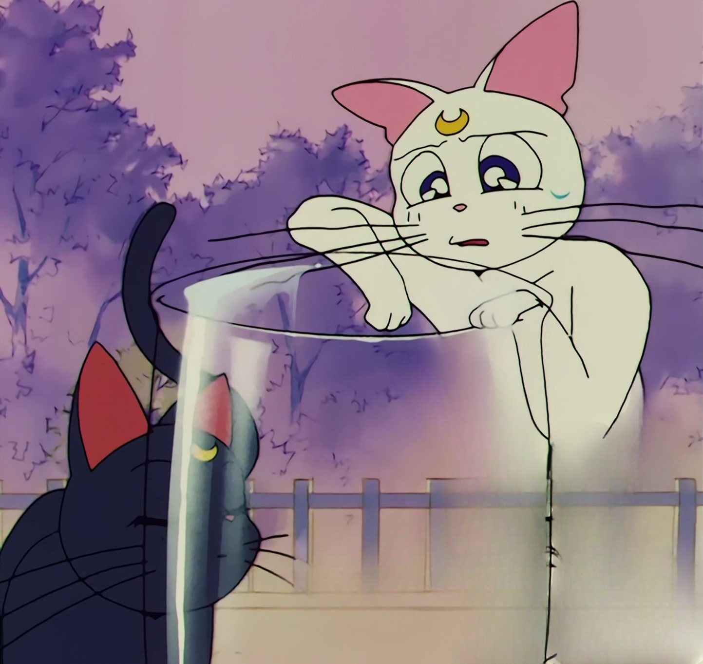 Sailor Moon R  Stitch 0463.jpg