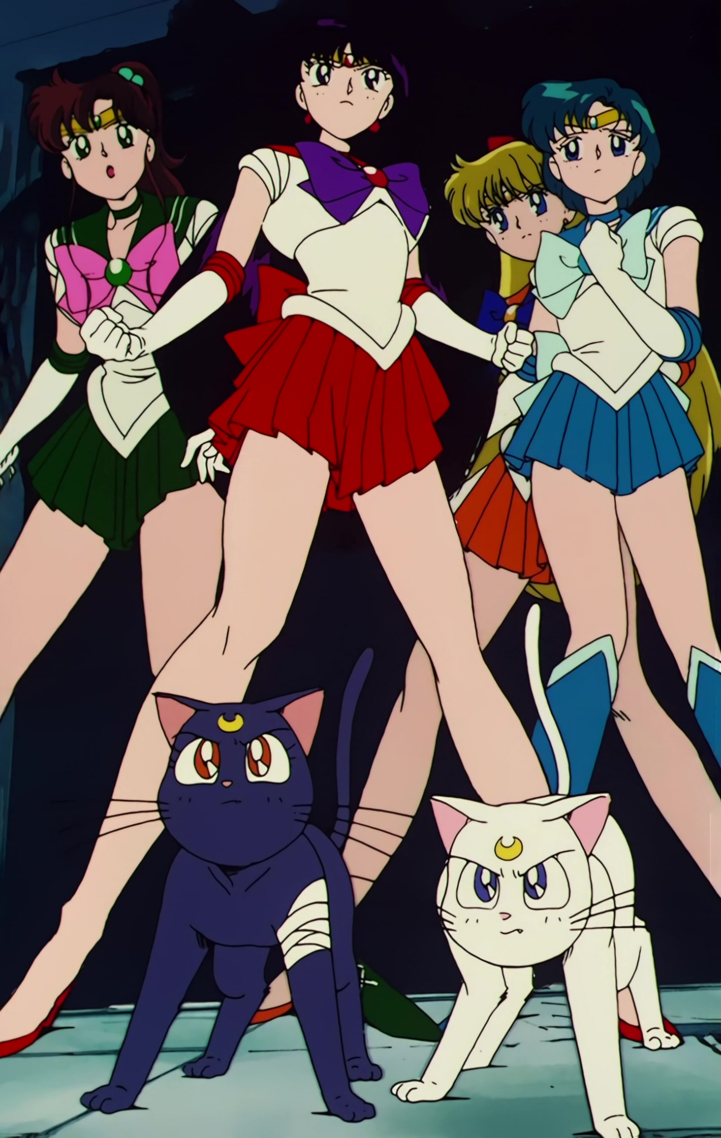 Sailor Moon R  Stitch 0489.jpg