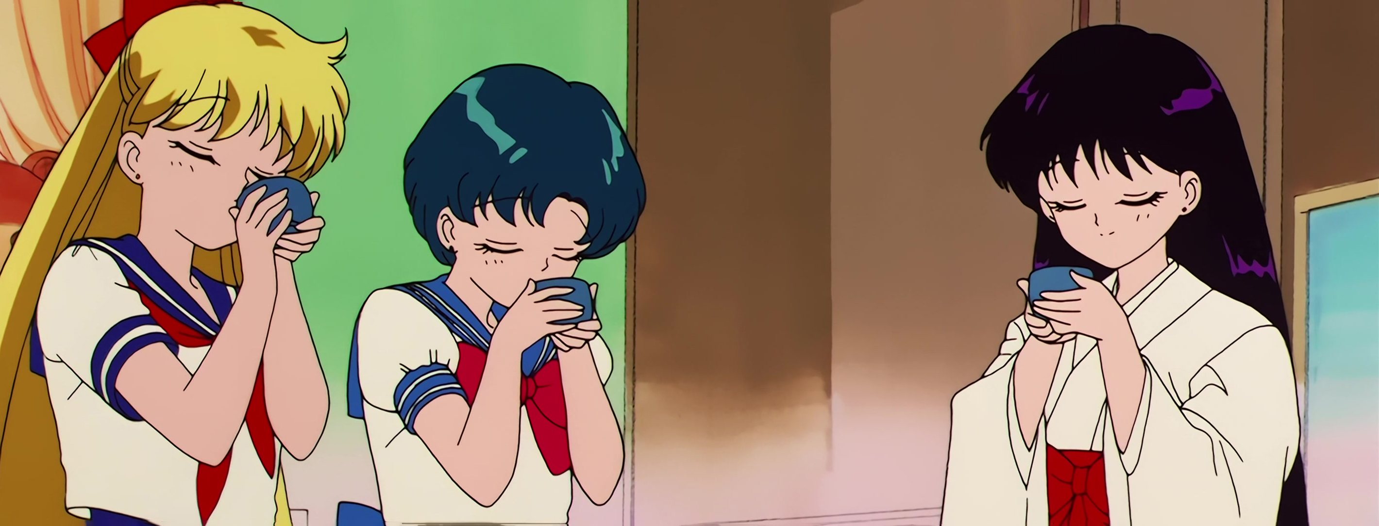 Sailor Moon R  Stitch 0535.jpg