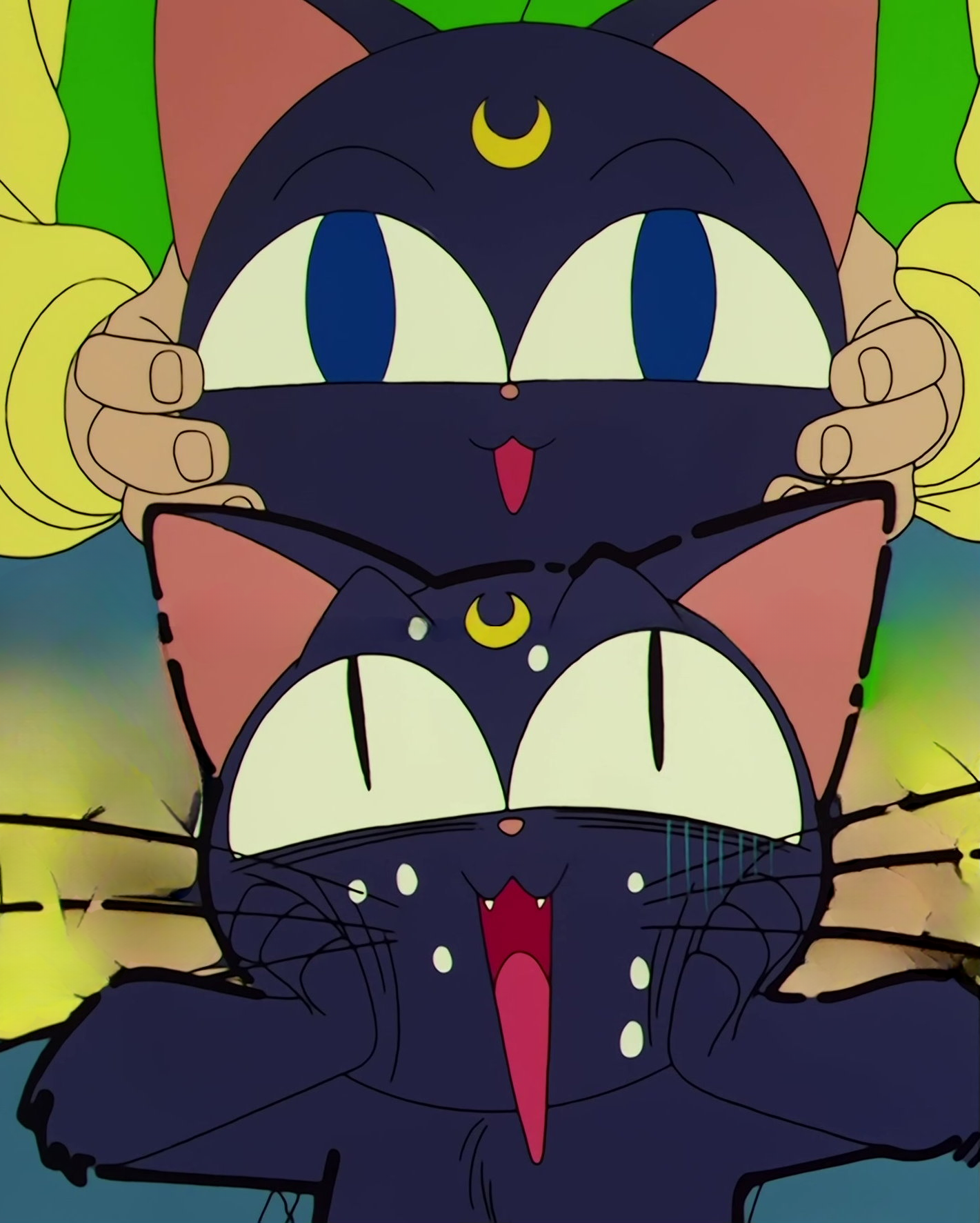 Sailor Moon R  Stitch 0560.jpg