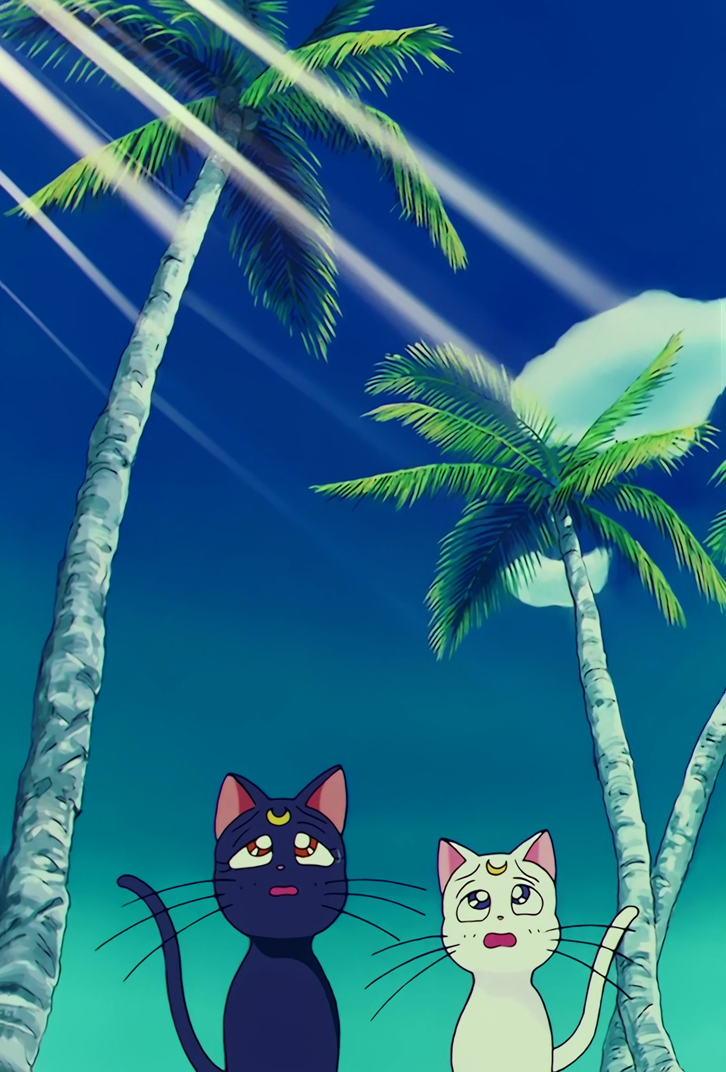 Sailor Moon R  Stitch 0767.jpg