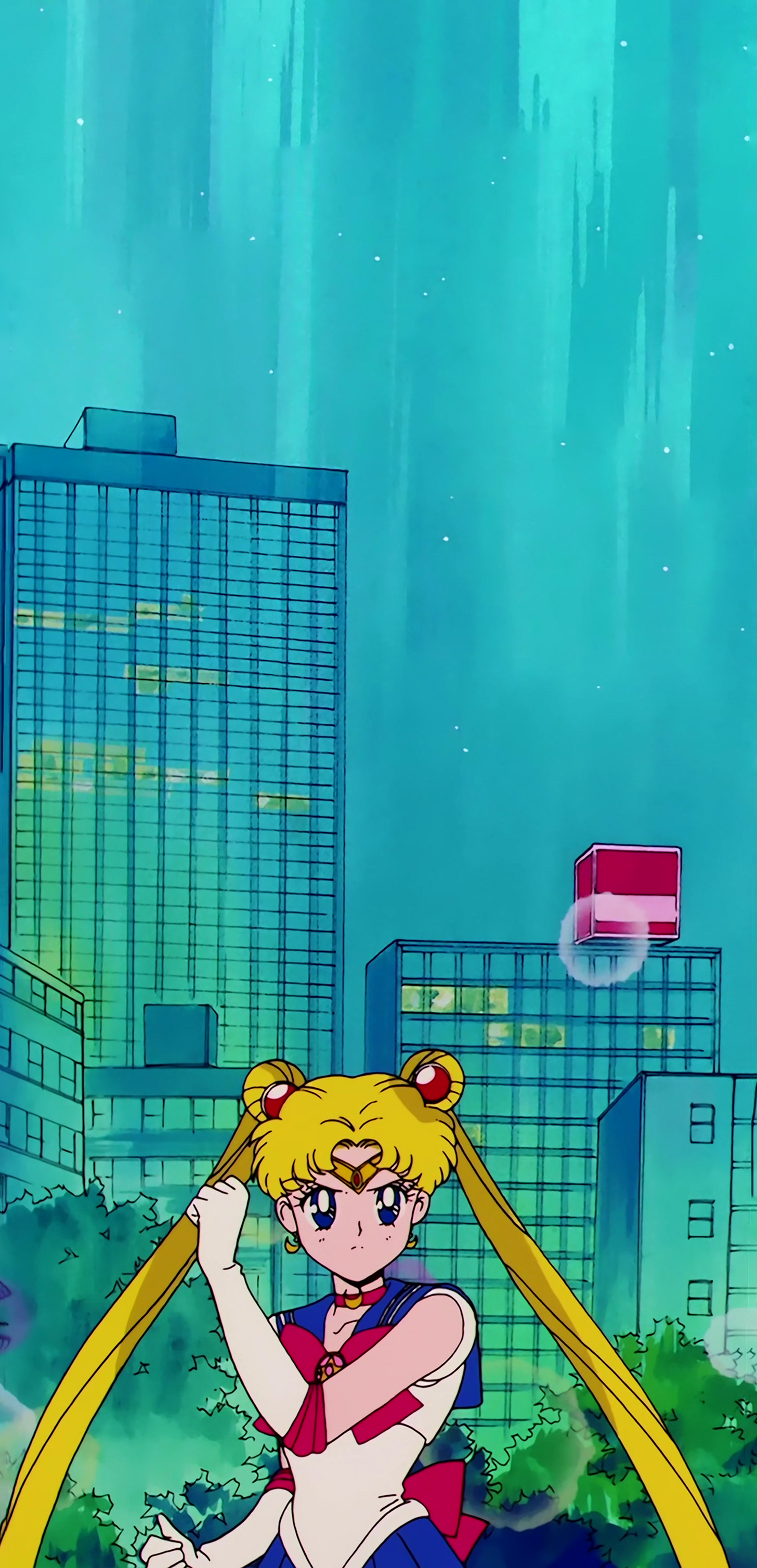 Sailor Moon R  Stitch 0865.jpg