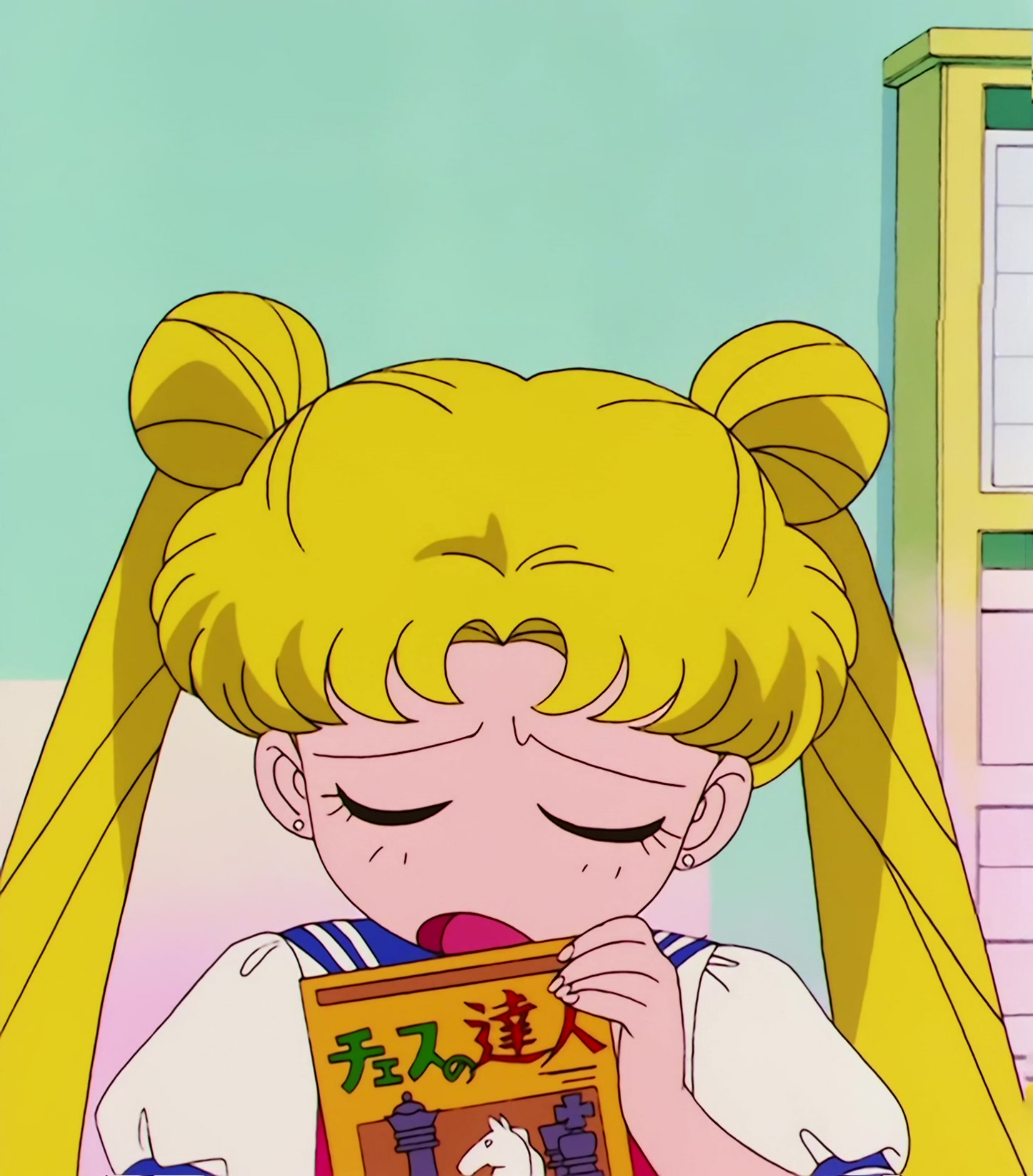 Sailor Moon R  Stitch 0913.jpg