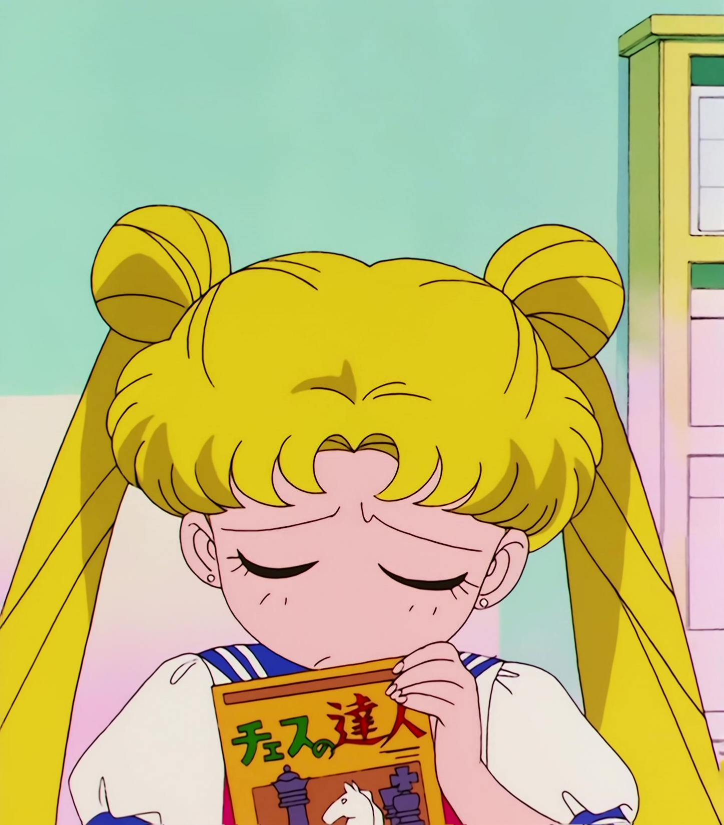 Sailor Moon R  Stitch 0914.jpg