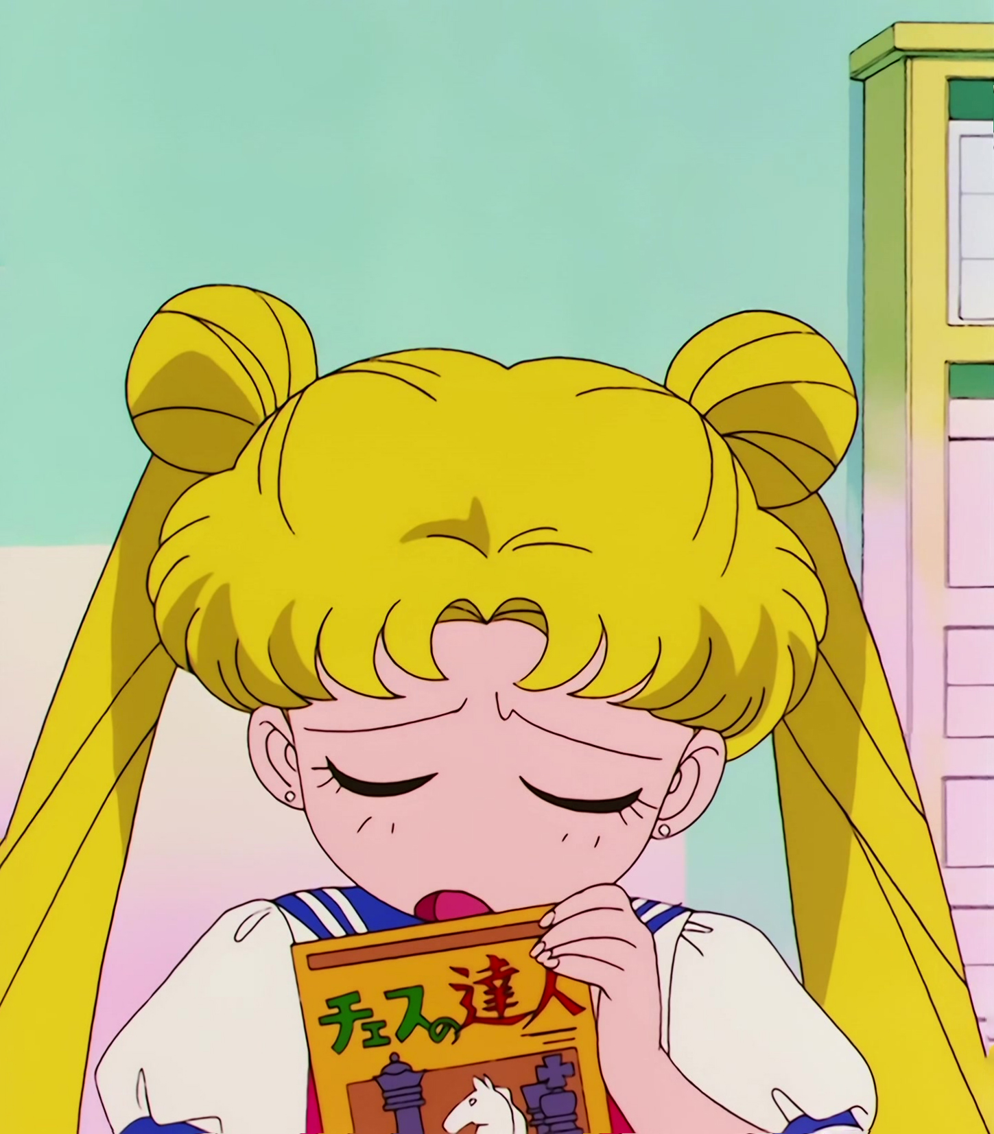 Sailor Moon R  Stitch 0915.jpg