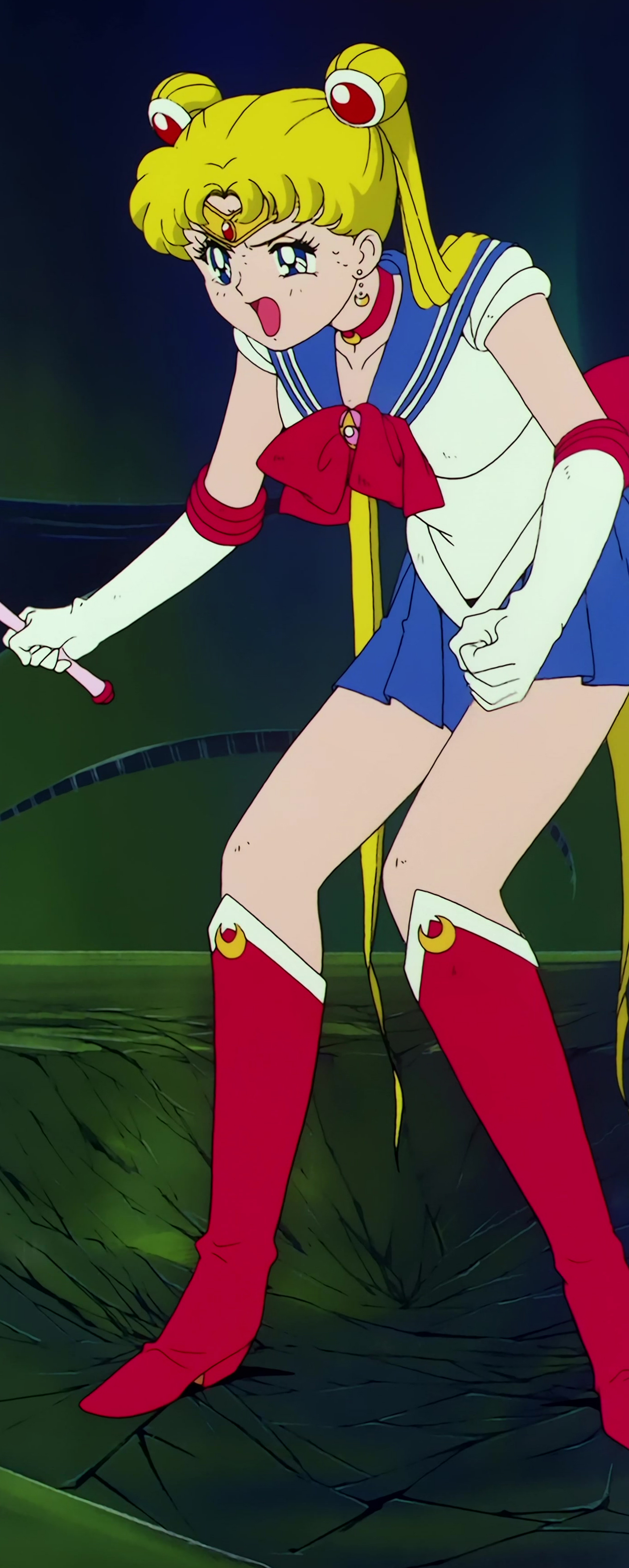 Sailor Moon R  Stitch 1078.jpg
