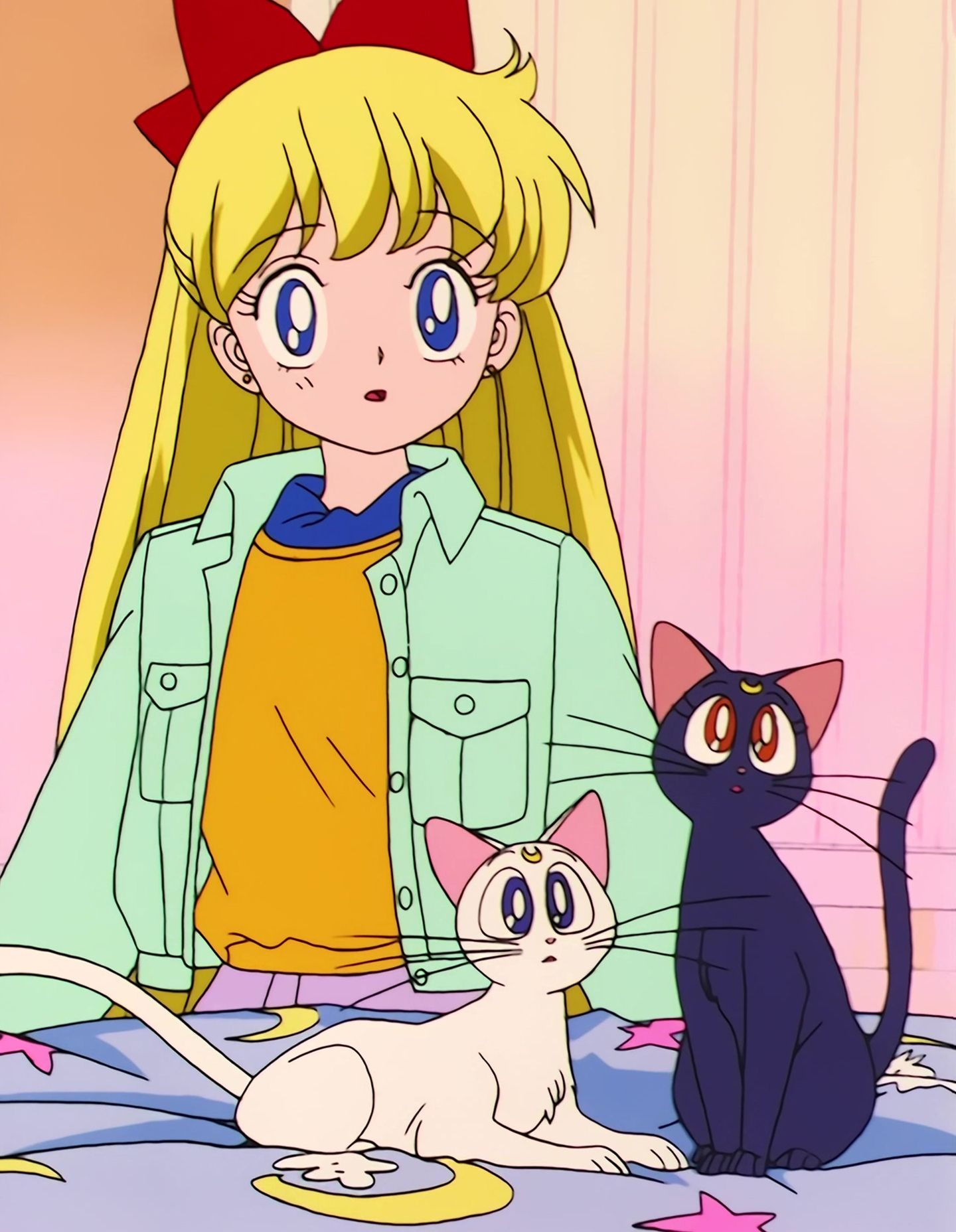 Sailor Moon R  Stitch 1135.jpg