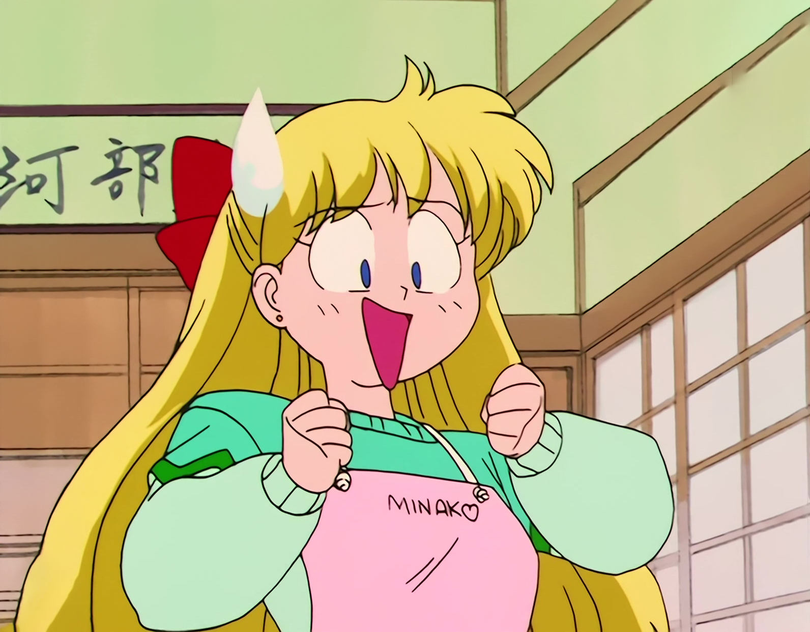 Sailor Moon R  Stitch 1213.jpg