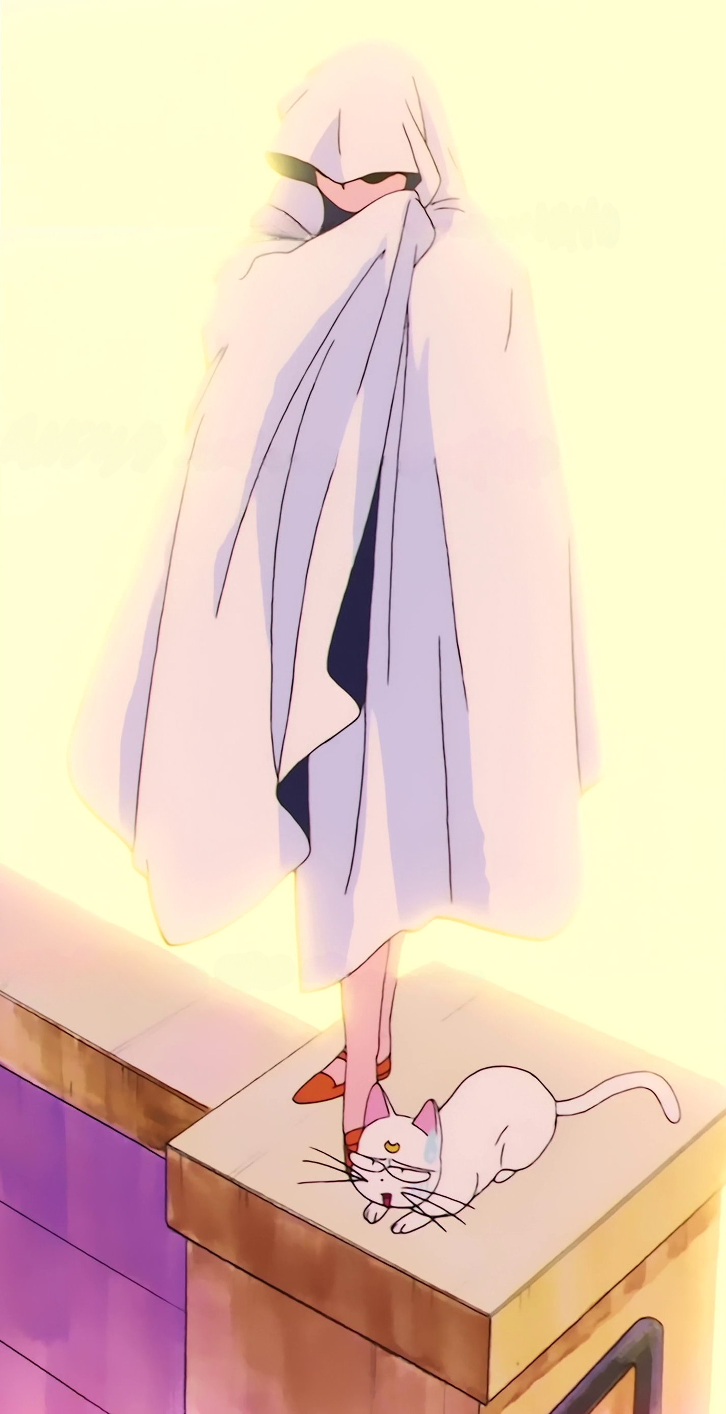 Sailor Moon R  Stitch 1220.jpg