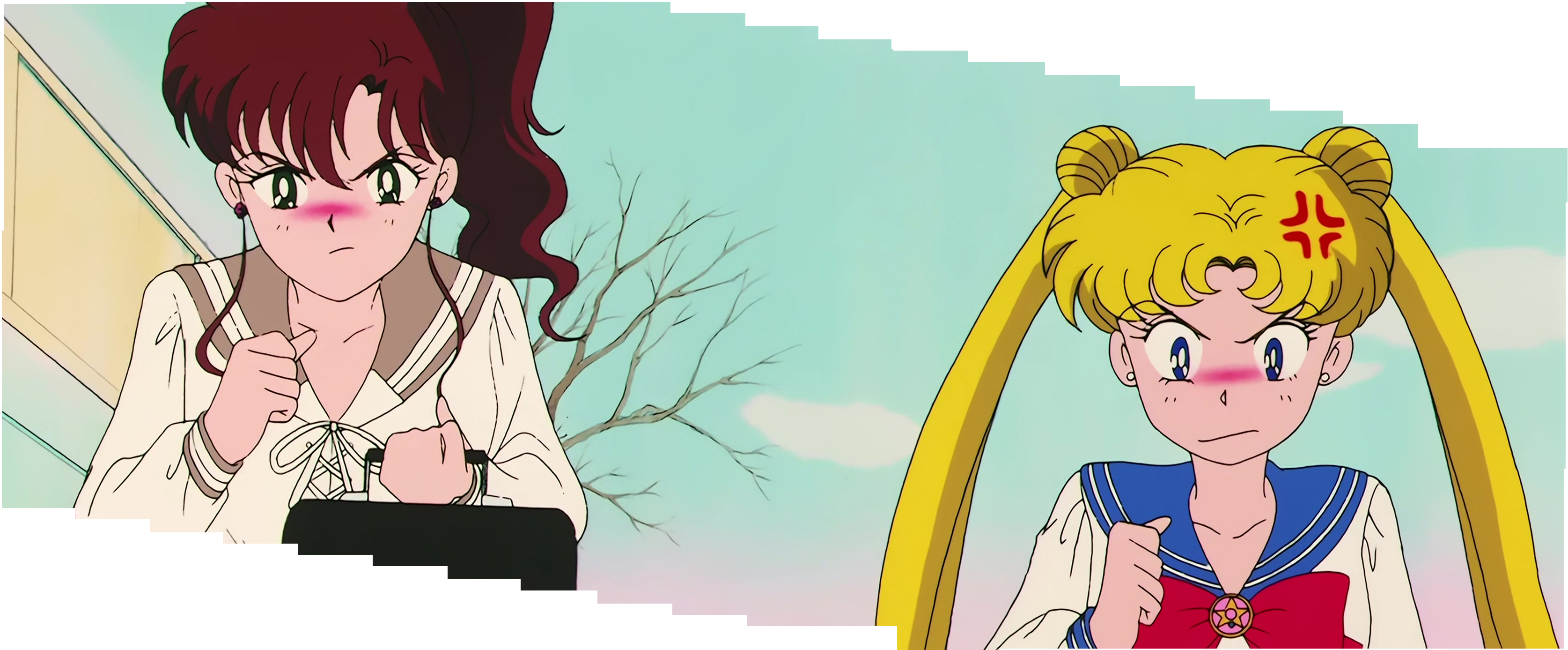 Sailor Moon R  Stitch 1309.jpg