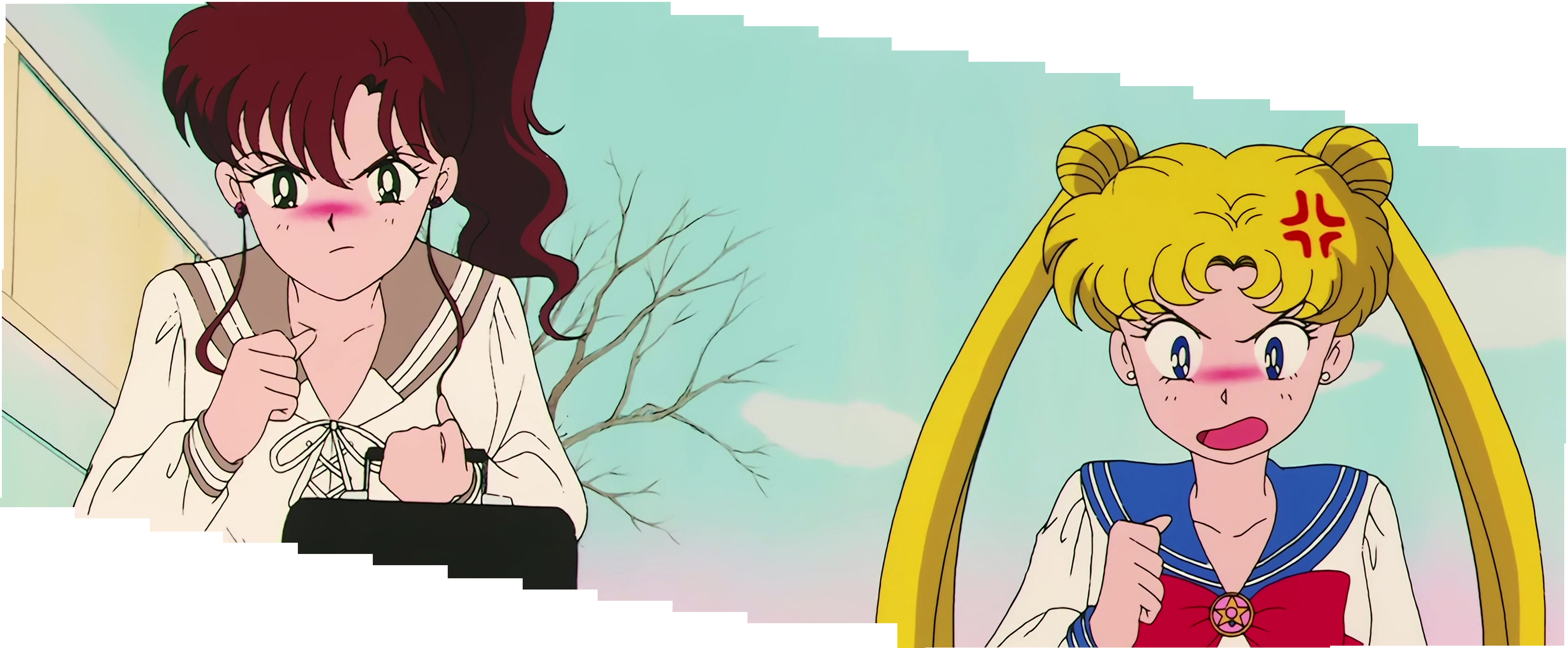Sailor Moon R  Stitch 1310.jpg