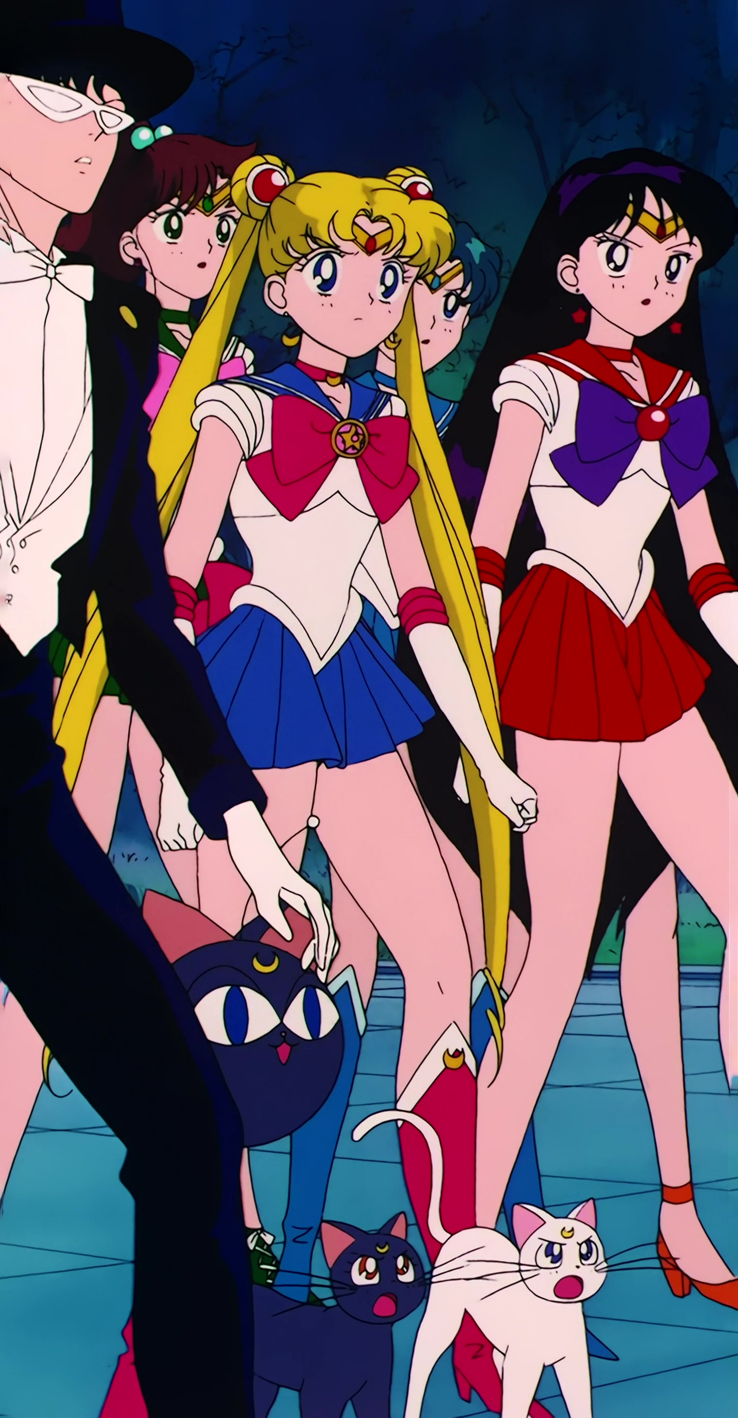 Sailor Moon R  Stitch 1514.jpg