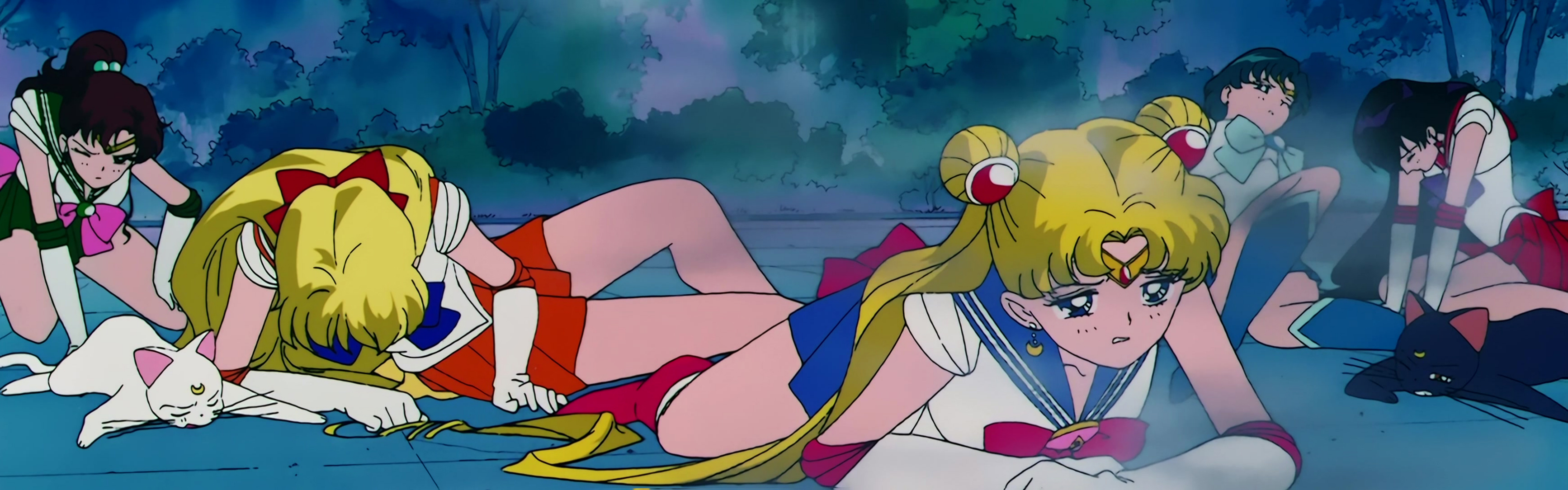 Sailor Moon R  Stitch 1517.jpg