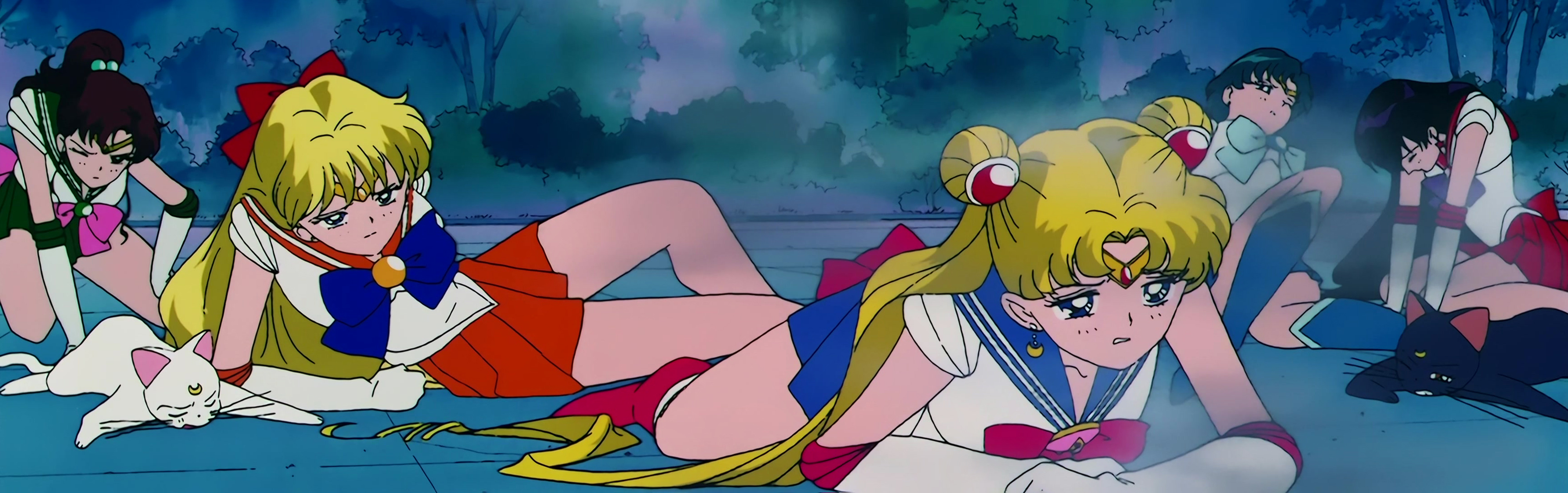 Sailor Moon R  Stitch 1518.jpg