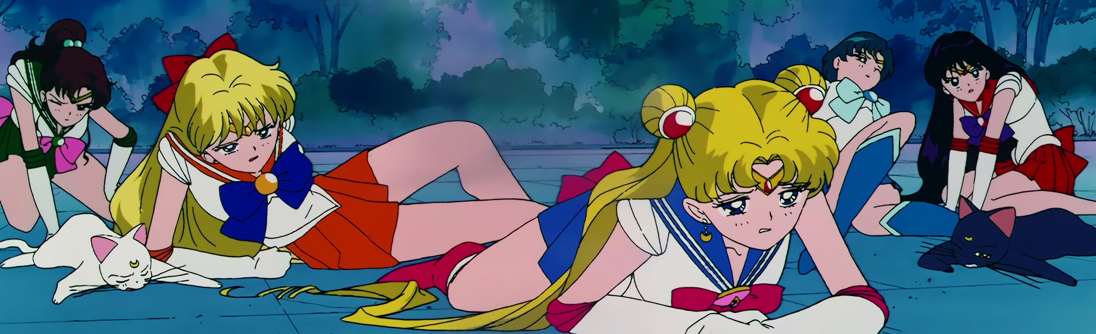 Sailor Moon R  Stitch 1519.jpg