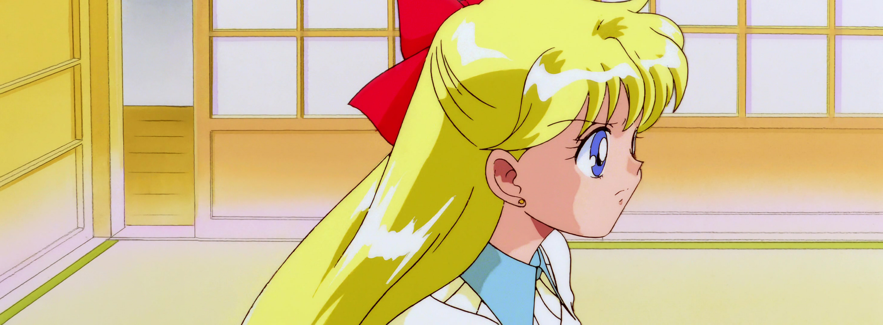Sailor Moon S Movie Stitch 24.jpg