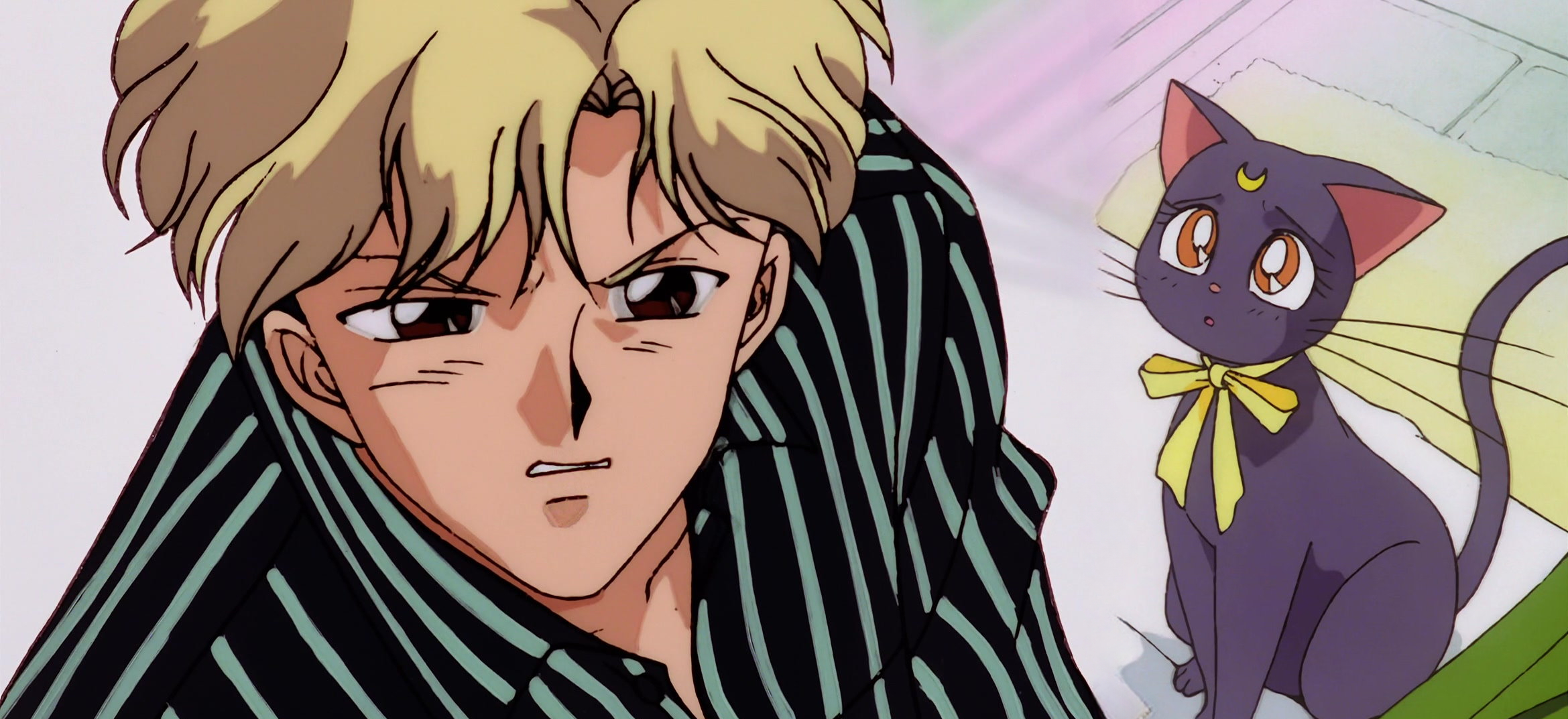 Sailor Moon S Movie Stitch 28.jpg