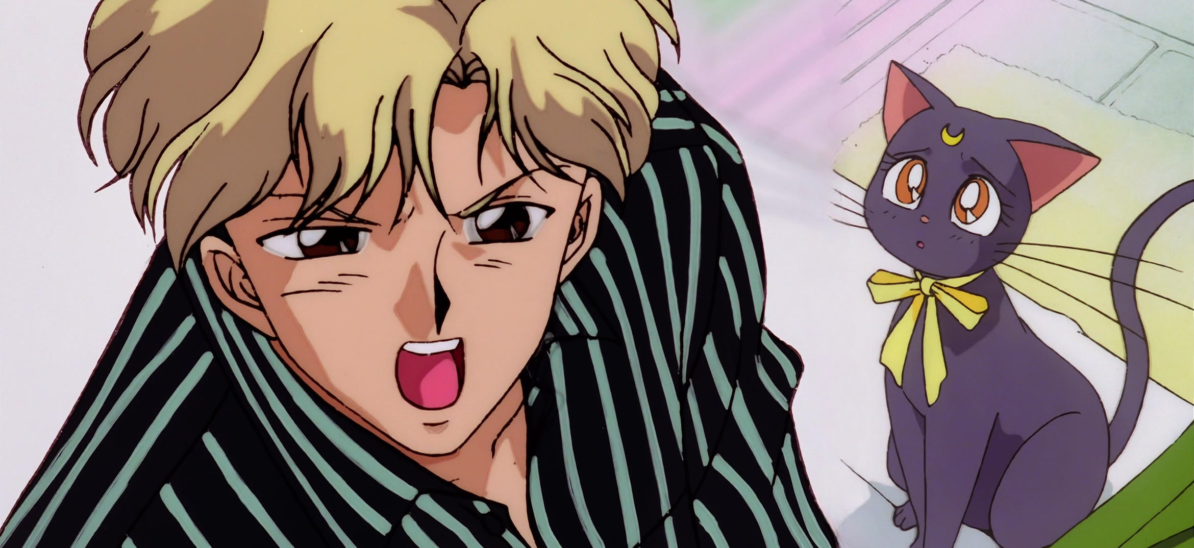 Sailor Moon S Movie Stitch 29.jpg