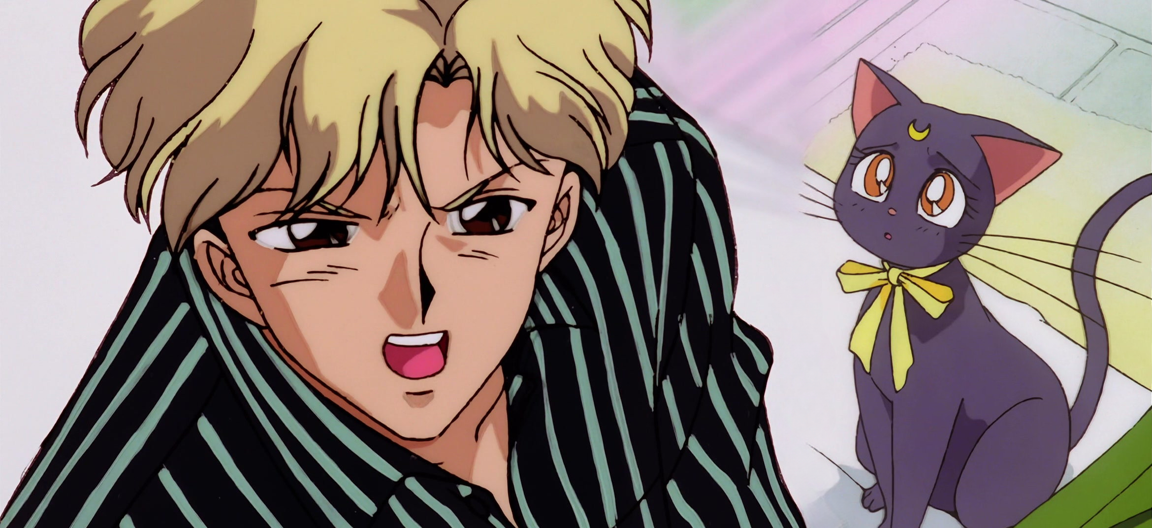 Sailor Moon S Movie Stitch 30.jpg