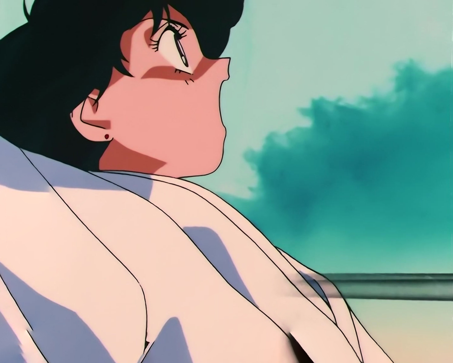 Sailor Moon S Stitch 0011.jpg