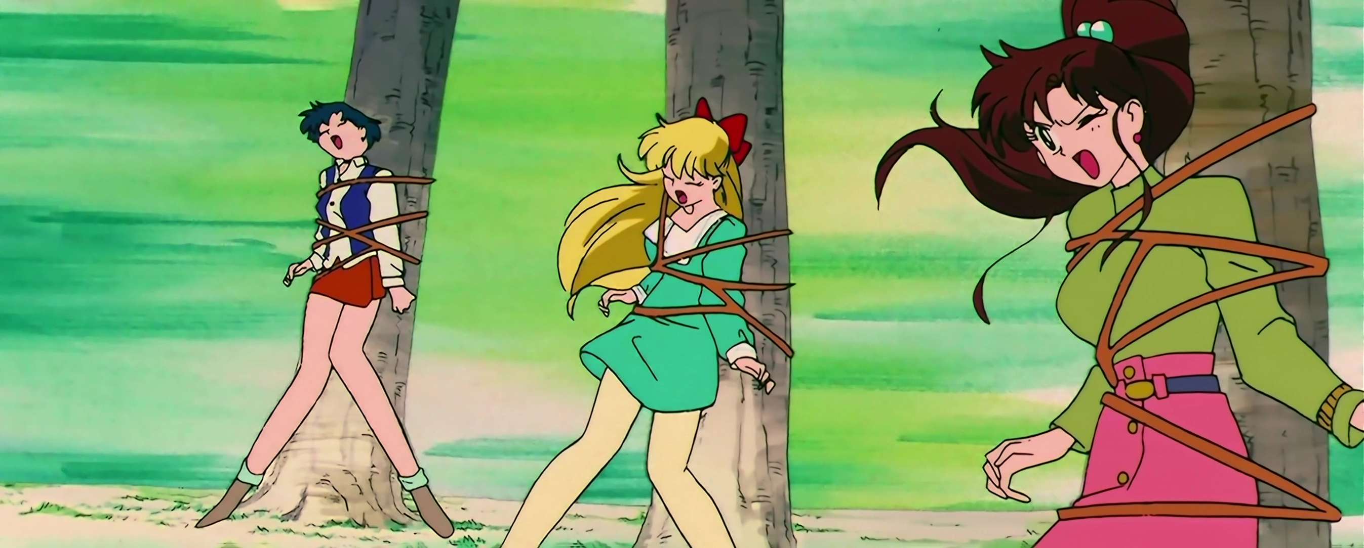 Sailor Moon S Stitch 0021.jpg
