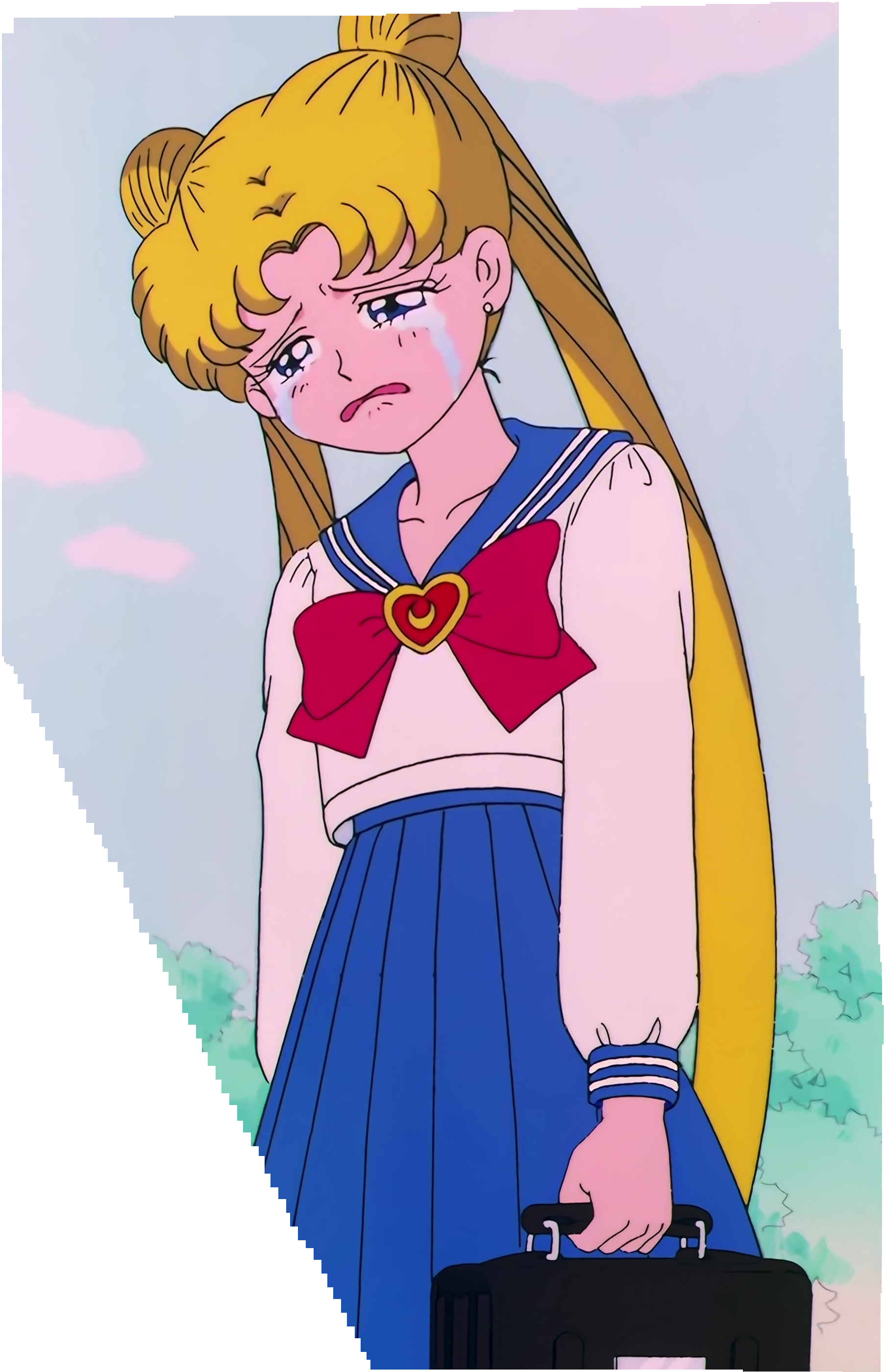 Sailor Moon S Stitch 0092.jpg