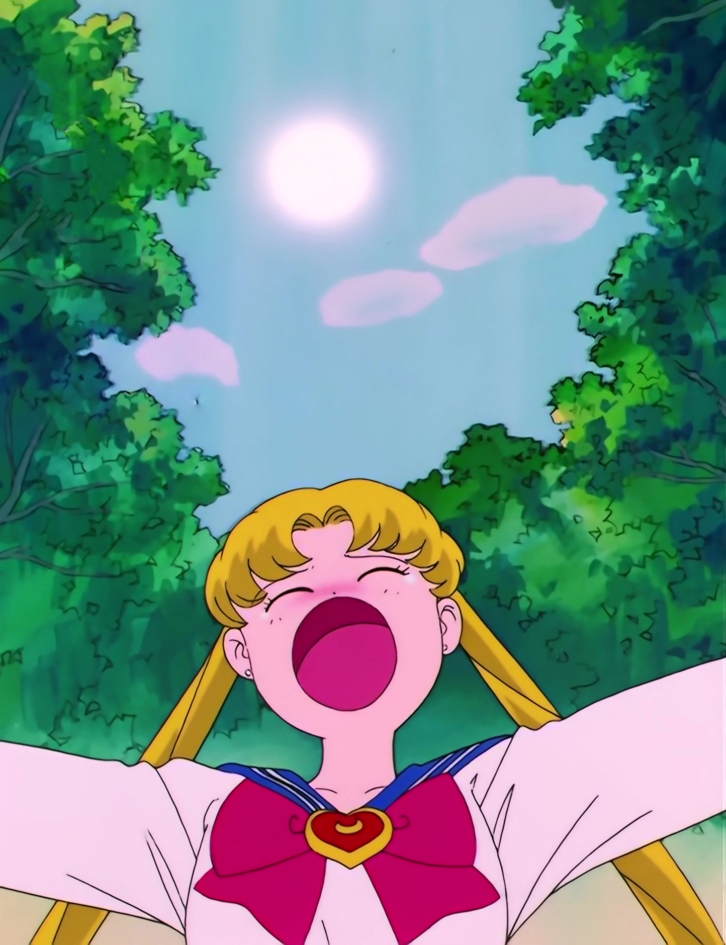 Sailor Moon S Stitch 0122.jpg