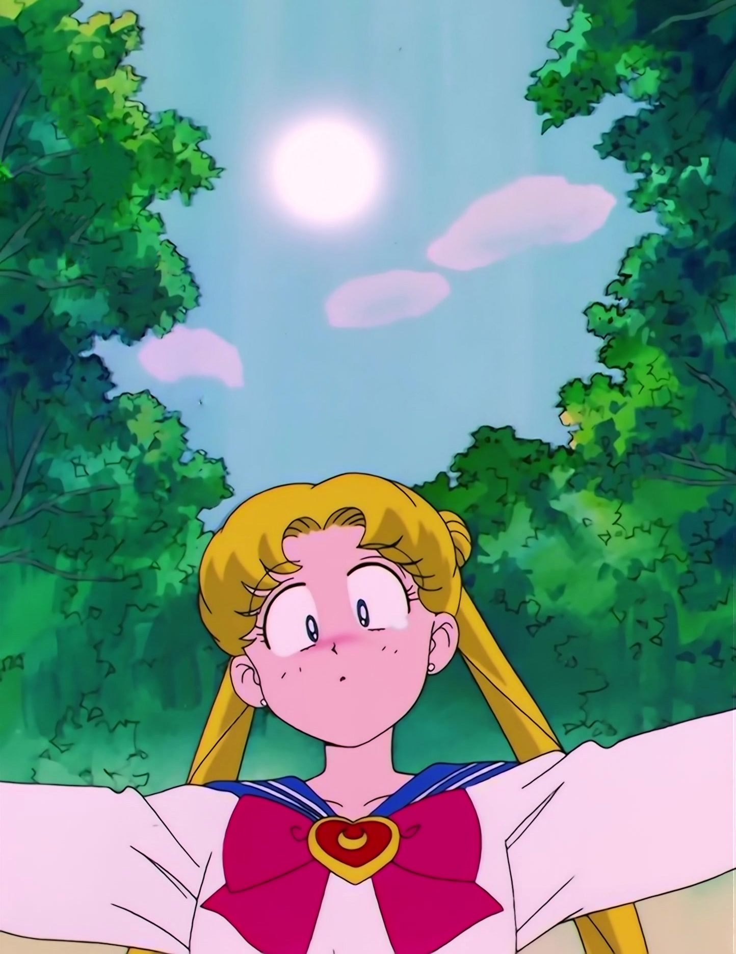 Sailor Moon S Stitch 0123.jpg
