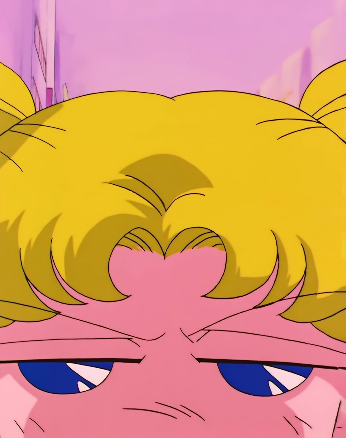 Sailor Moon S Stitch 0173.jpg