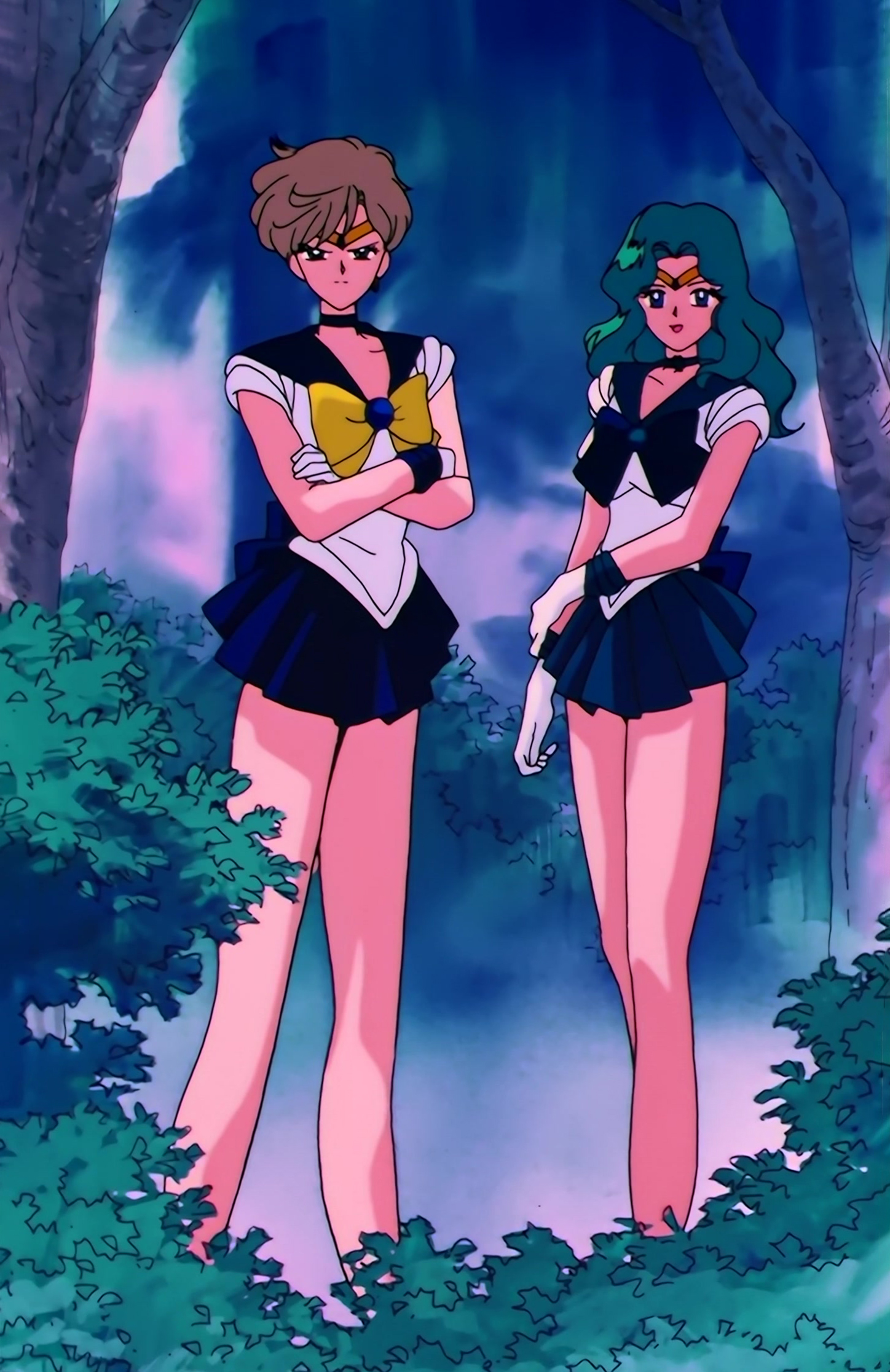 Sailor Moon S Stitch 0194.jpg