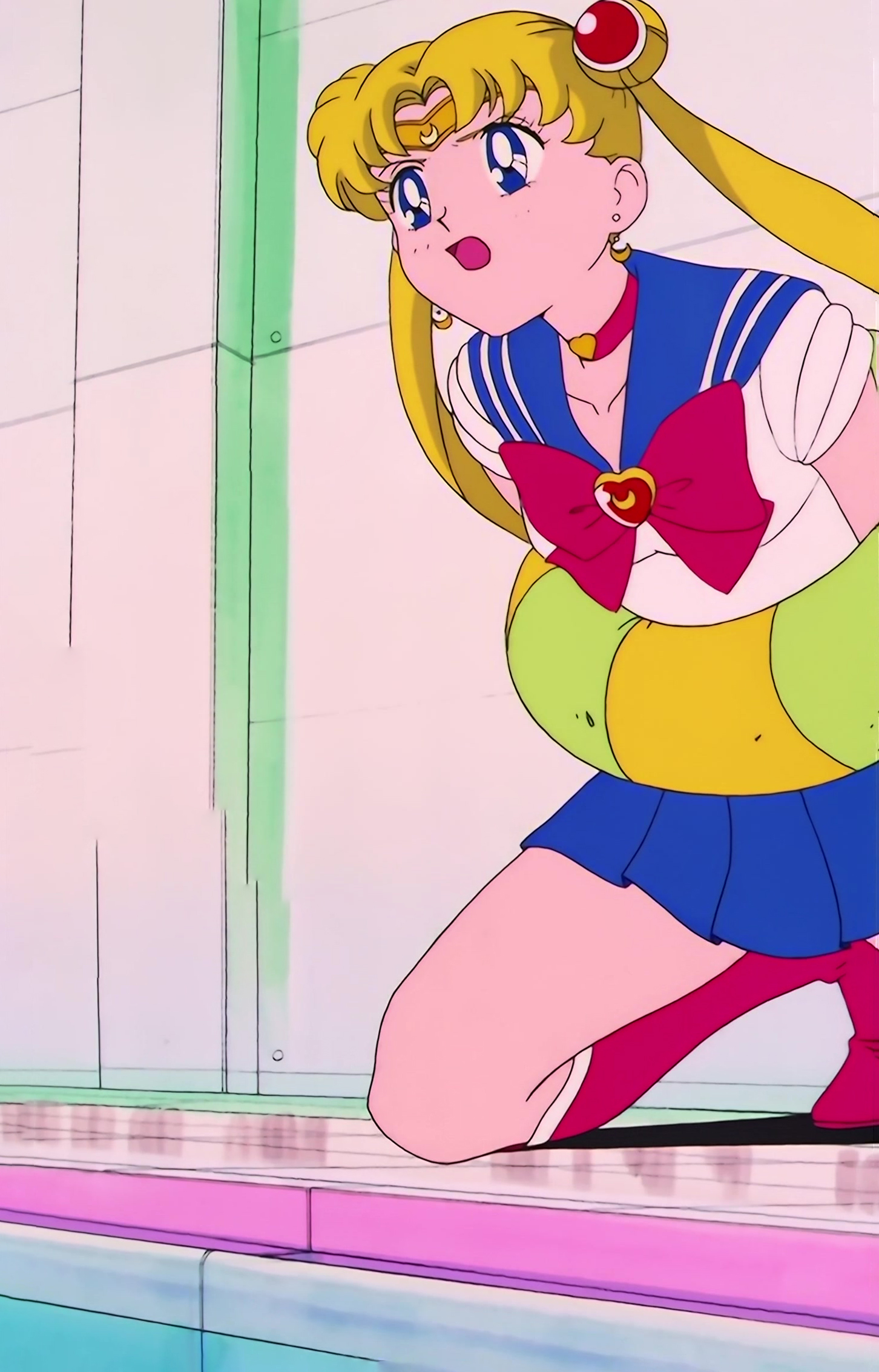 Sailor Moon S Stitch 0236.jpg