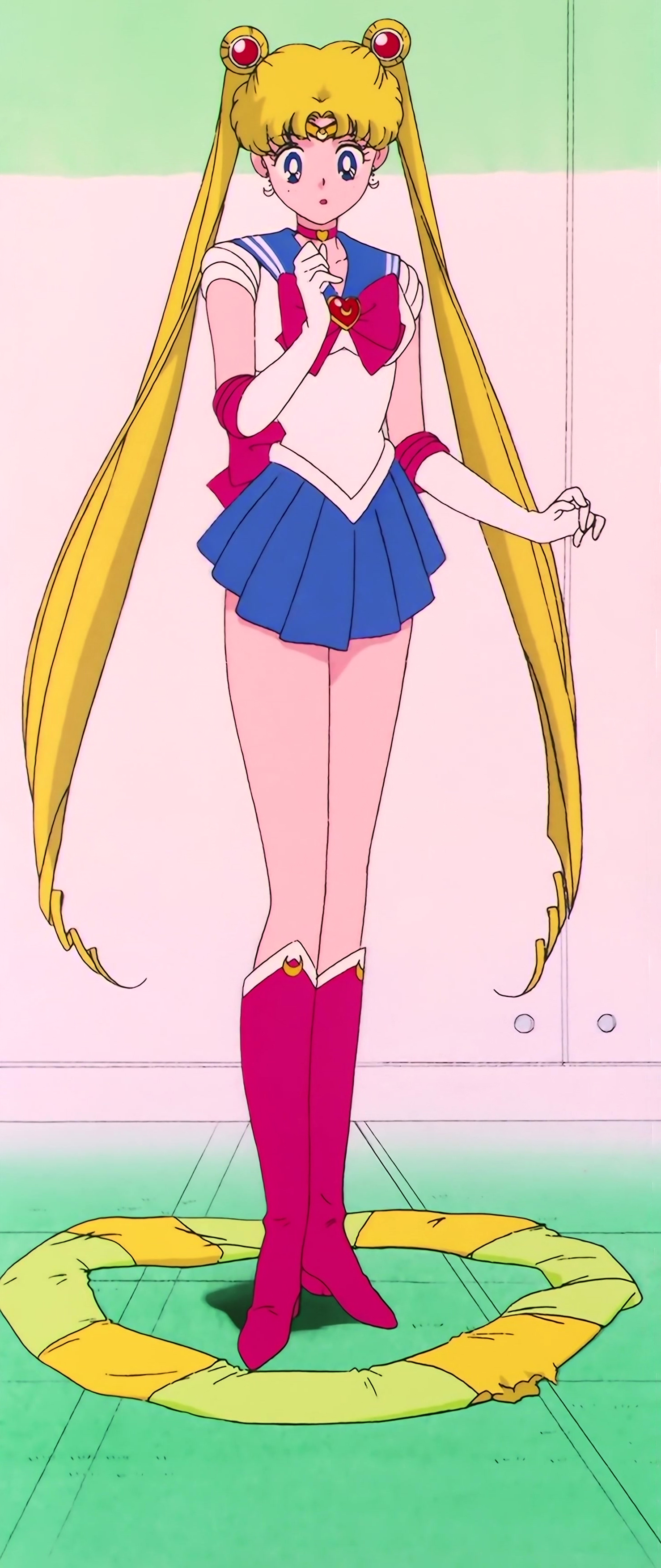 Sailor Moon S Stitch 0239.jpg