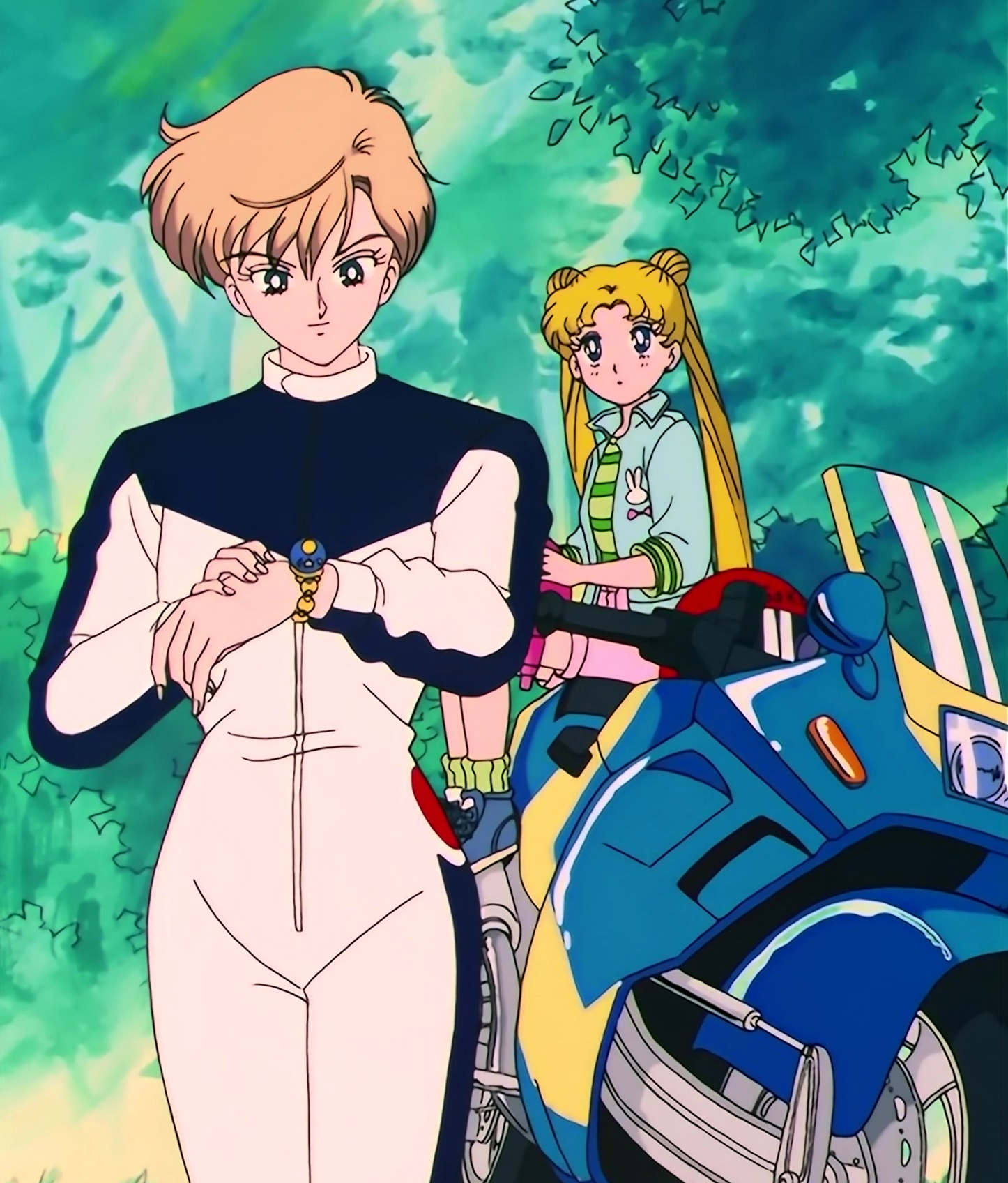 Sailor Moon S Stitch 0260.jpg