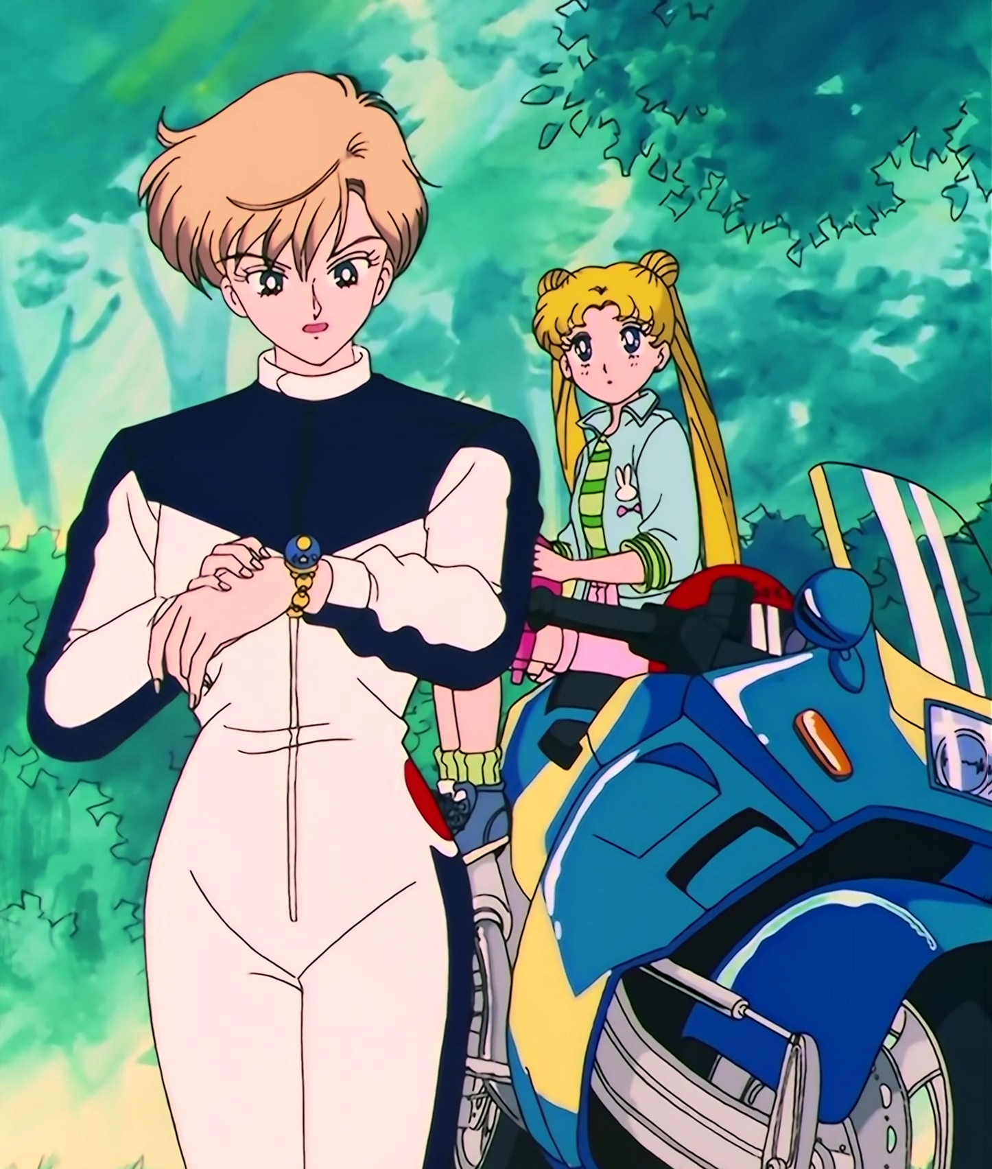 Sailor Moon S Stitch 0261.jpg