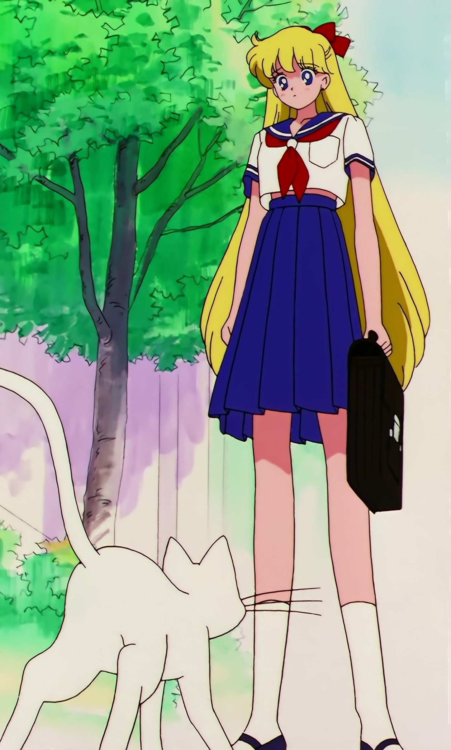 Sailor Moon S Stitch 0297.jpg